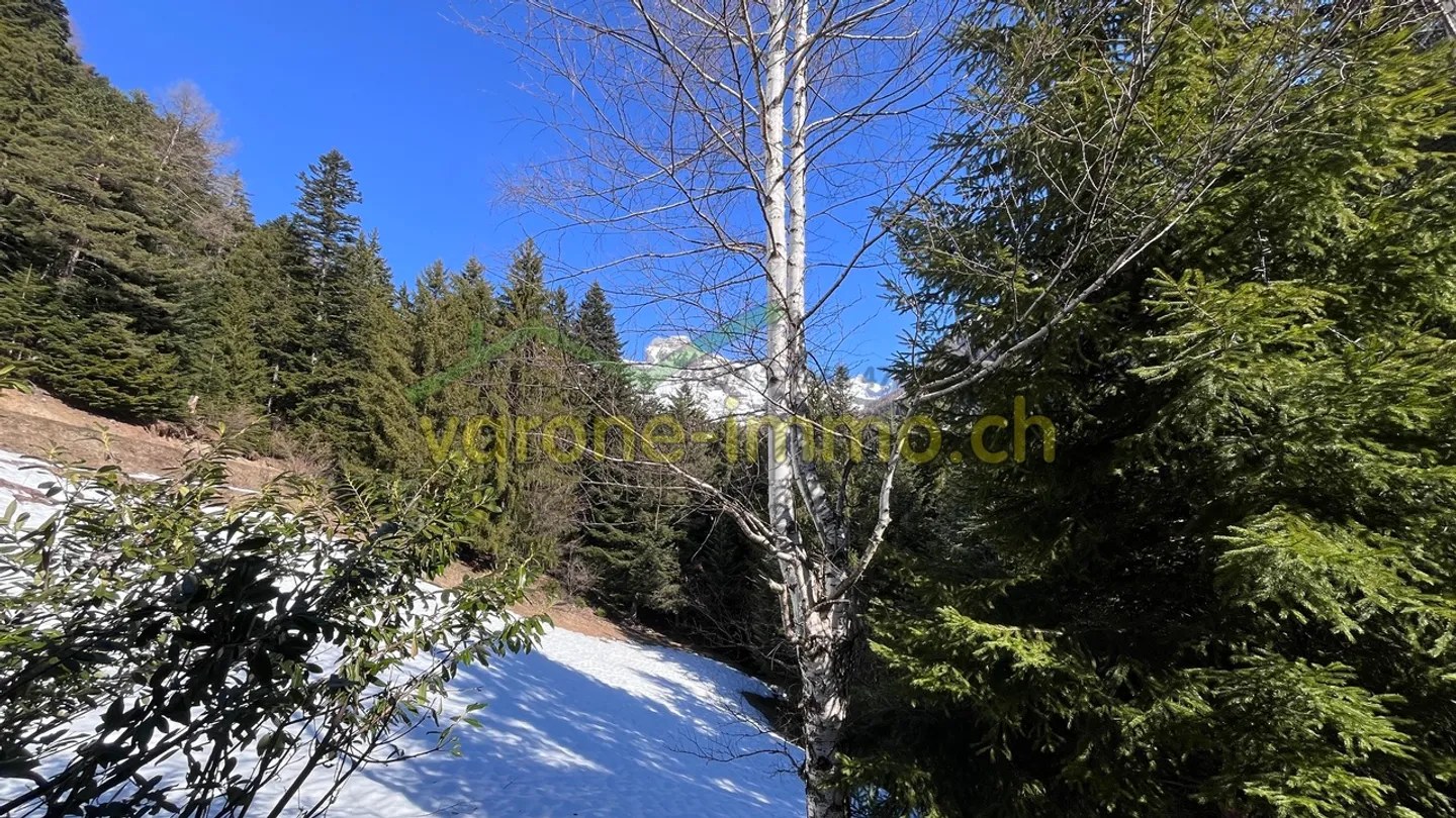 Chalet rustique dans la vallée du Sanetsch - Photo 9 sur 9