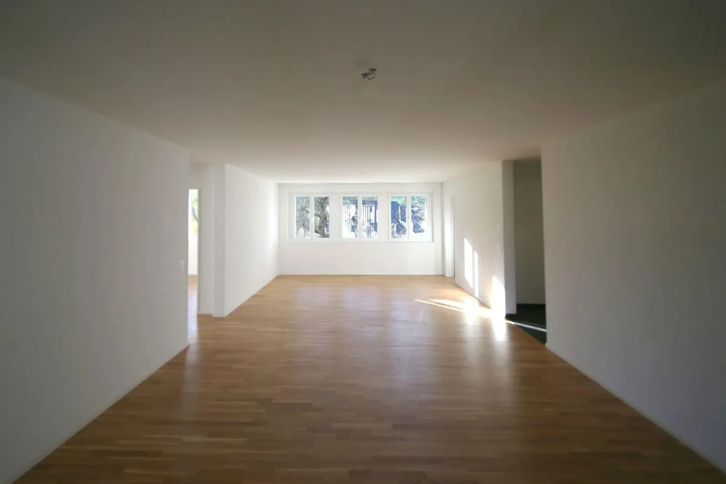 Ambiente luminoso in campagna - Foto 2 di 12