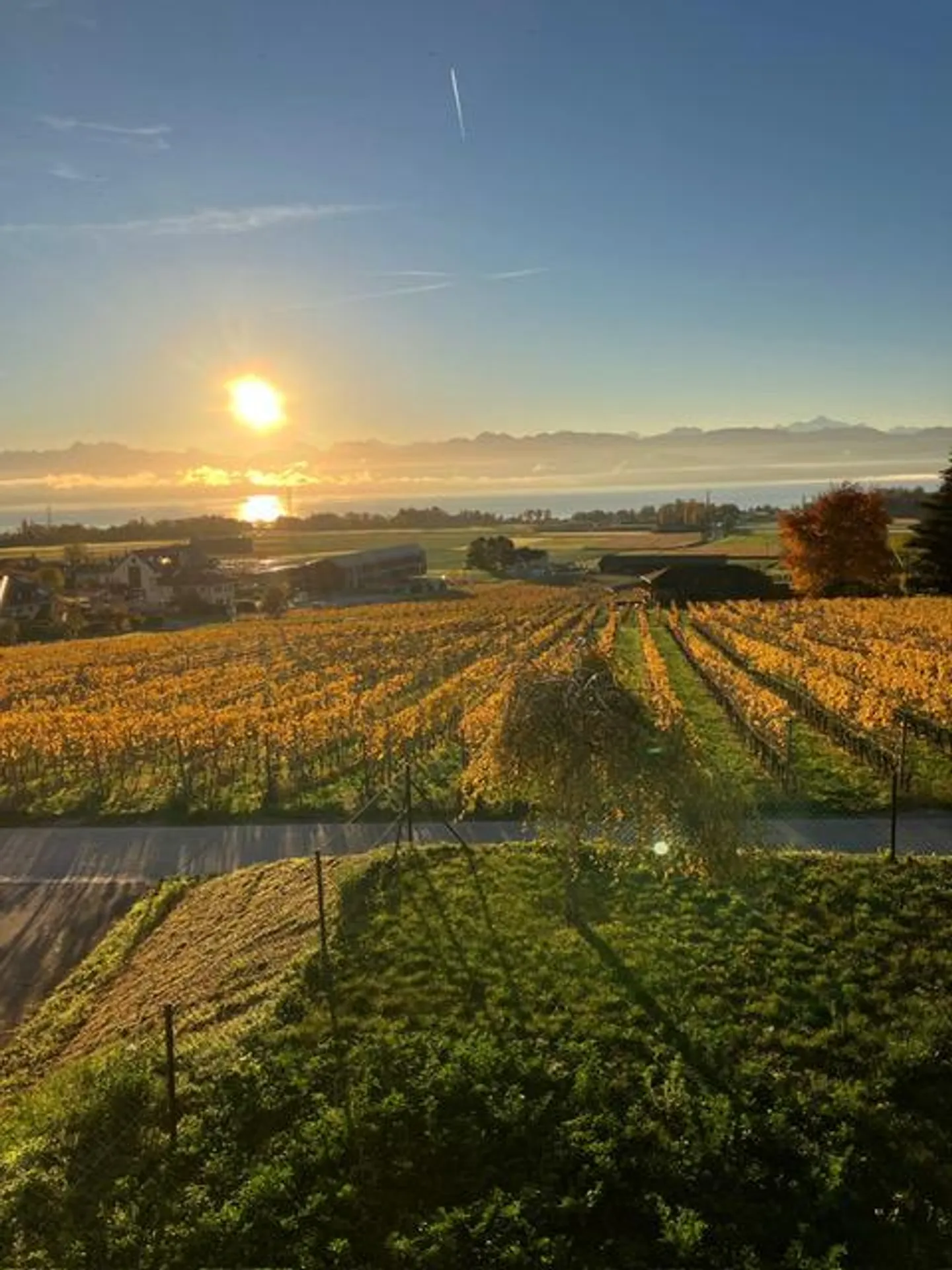 VILLA 6.5 STANZE - NEI VIGNETI - VISTA LAGO - GILLY - Foto 13 di 13