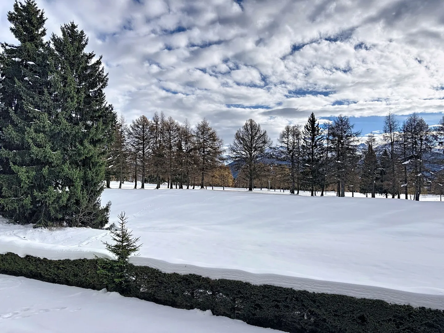 3,5-Zimmer-Wohnung in Crans-Montana - Foto 7 von 7