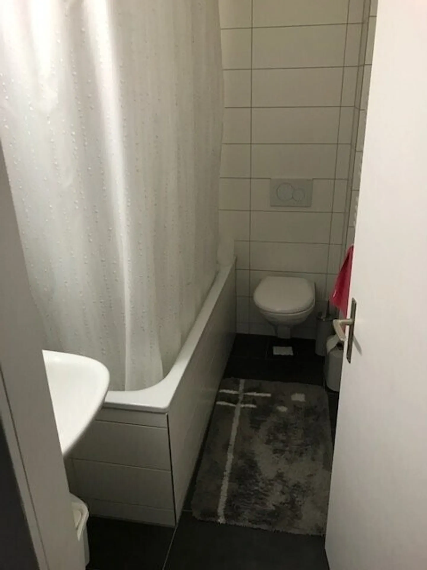 4 Room Apartment, 3800 Unterseen - Photo 5 of 5
