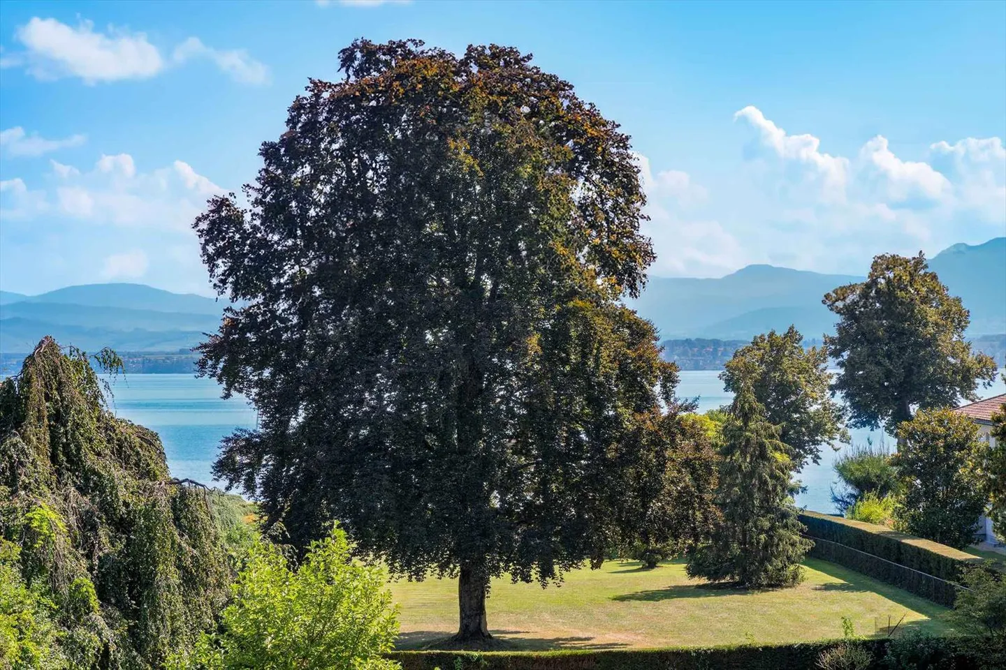 Exceptional property a stone's throw from Lake Geneva - Photo 12 of 13
