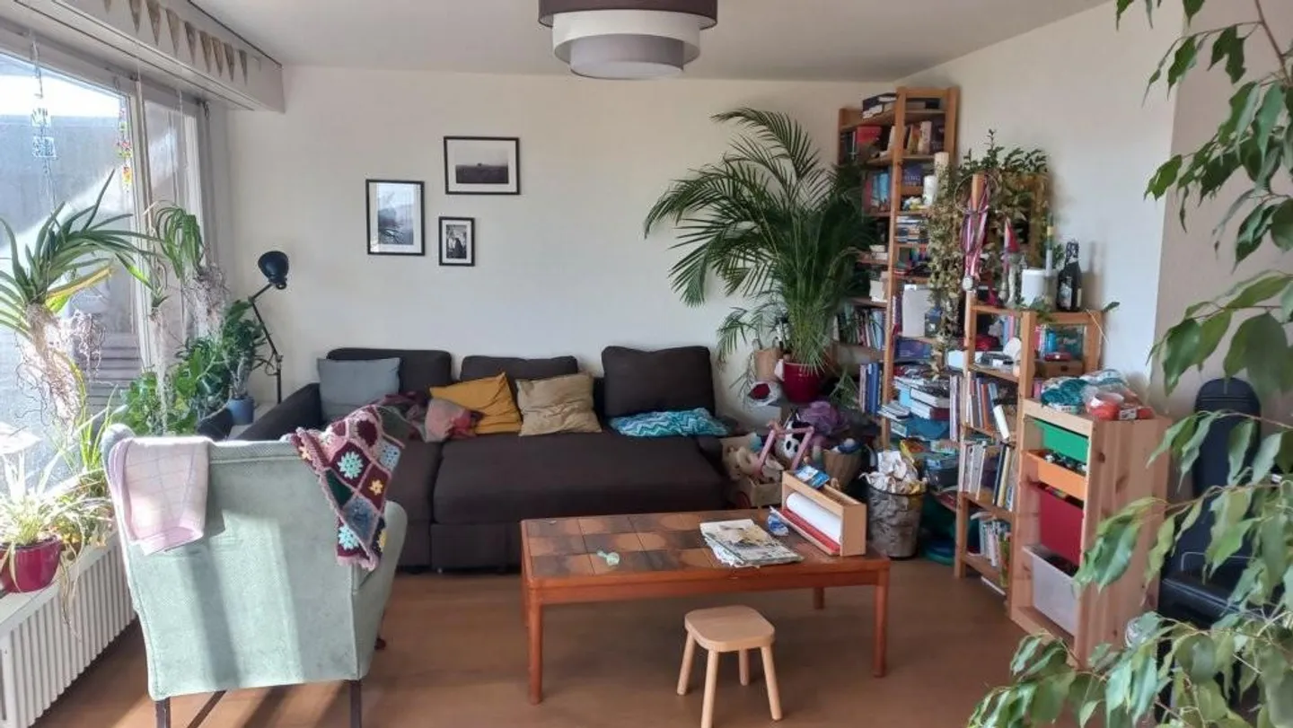 Vivere in un tranquillo quartiere residenziale - Foto 6 di 11