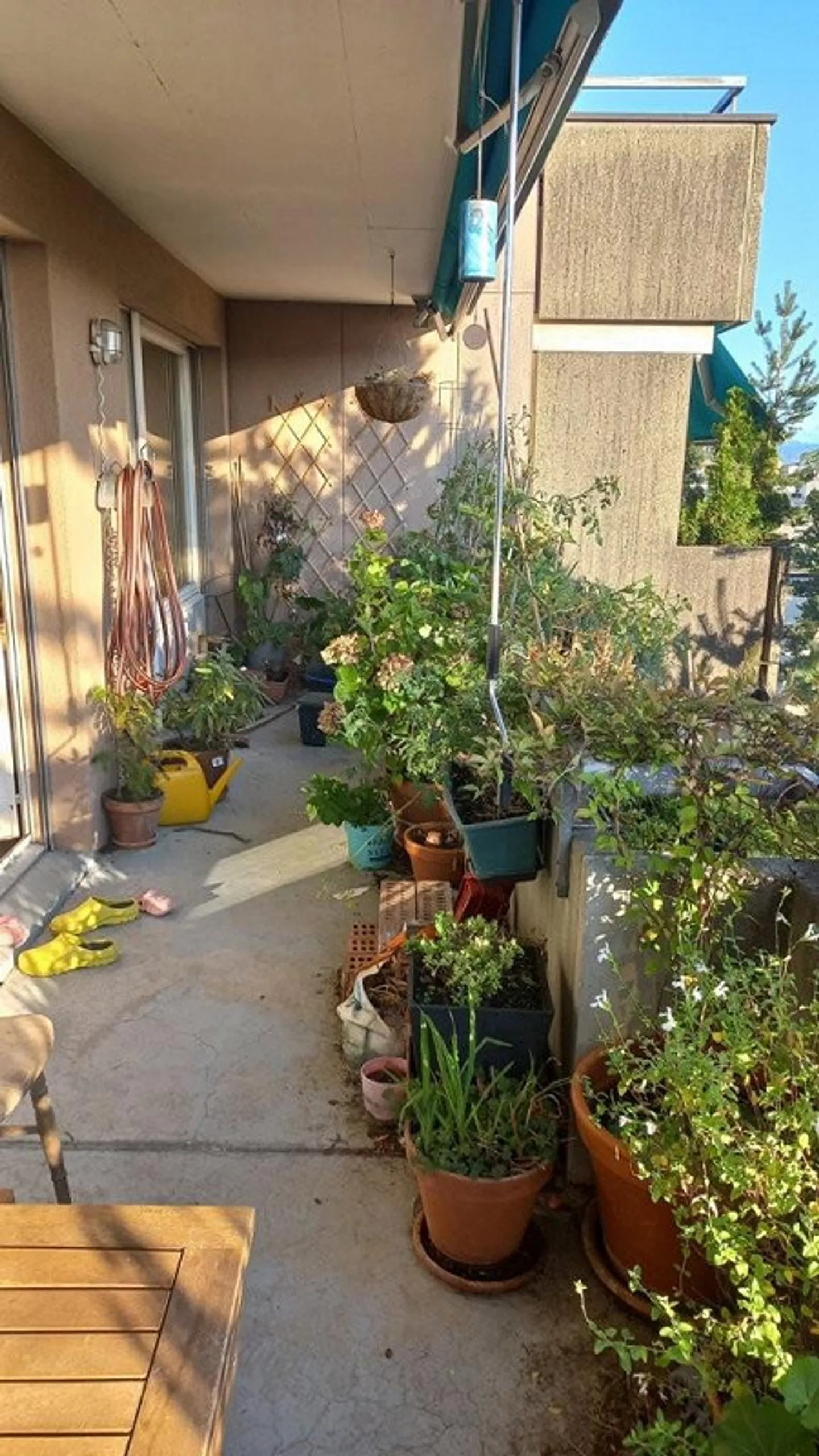 Vivere in un tranquillo quartiere residenziale - Foto 7 di 11