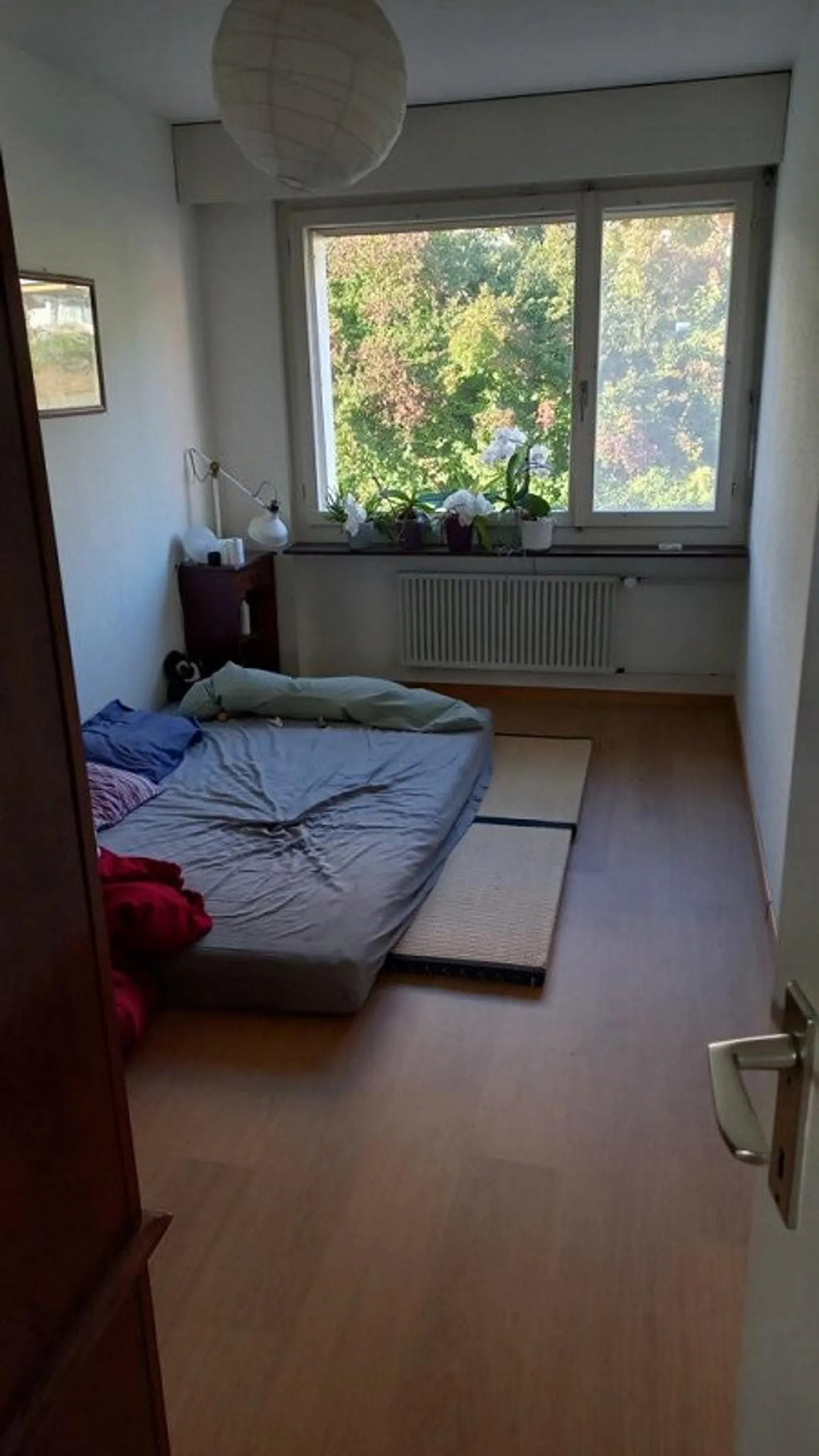 Vivere in un tranquillo quartiere residenziale - Foto 10 di 11