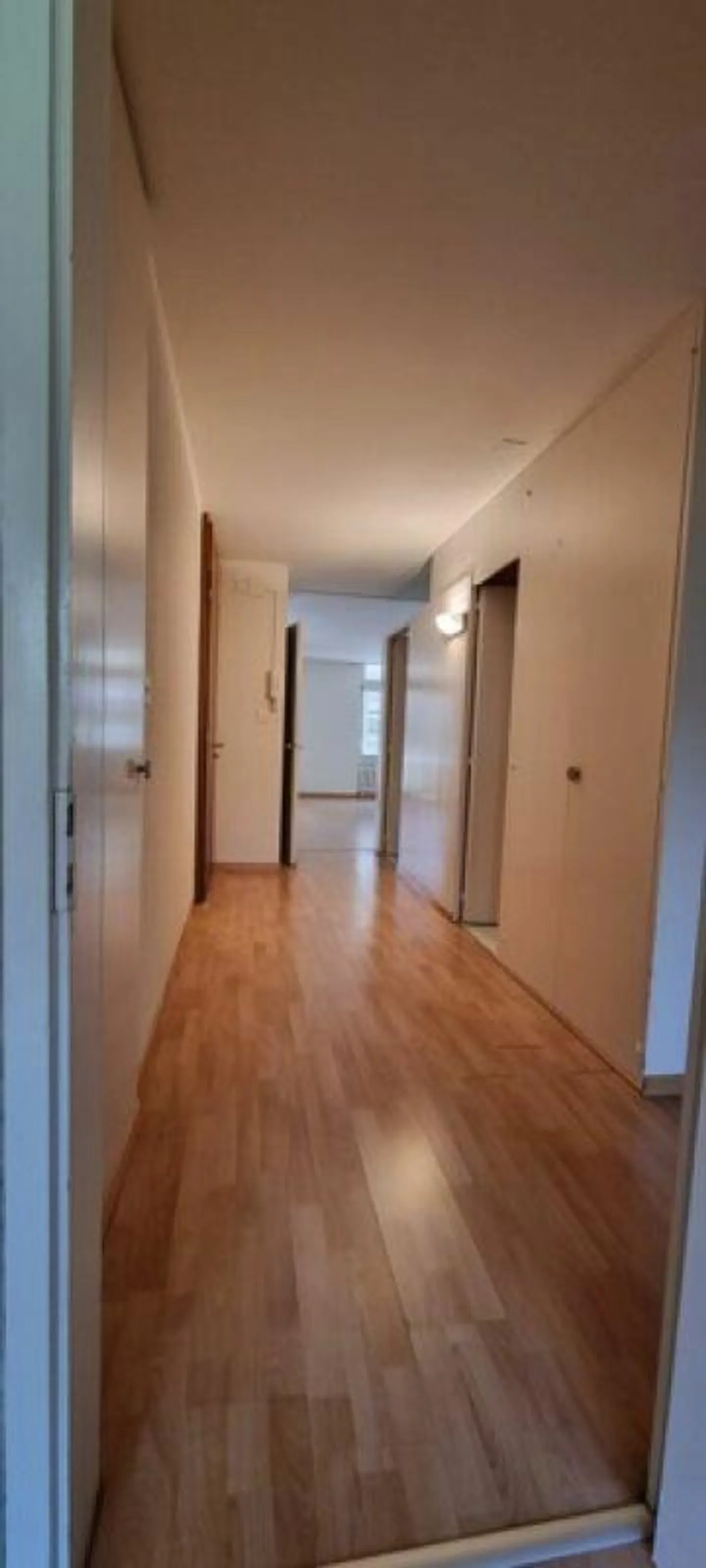 3.5 Zimmer-Wohnung - Foto 5 von 14