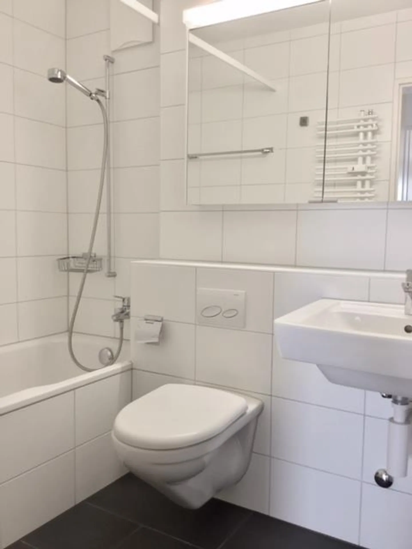 We are renting a 5 1/2-room apartment in a quiet area - Photo 9 of 9