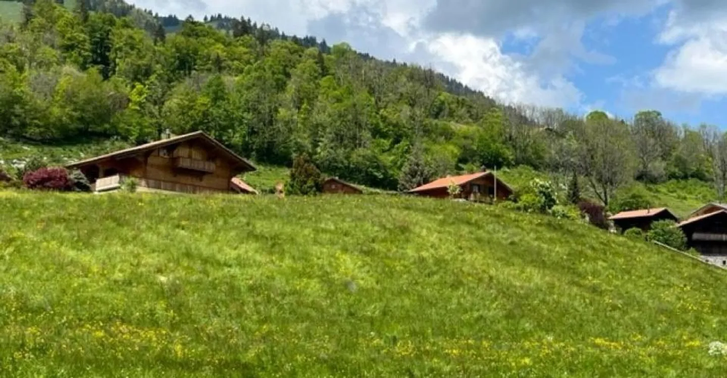 B1 - Neue 3,5-Zimmer-Wohnung im 1. Stock in Sciernes d'Albeuve - Foto 6 von 9