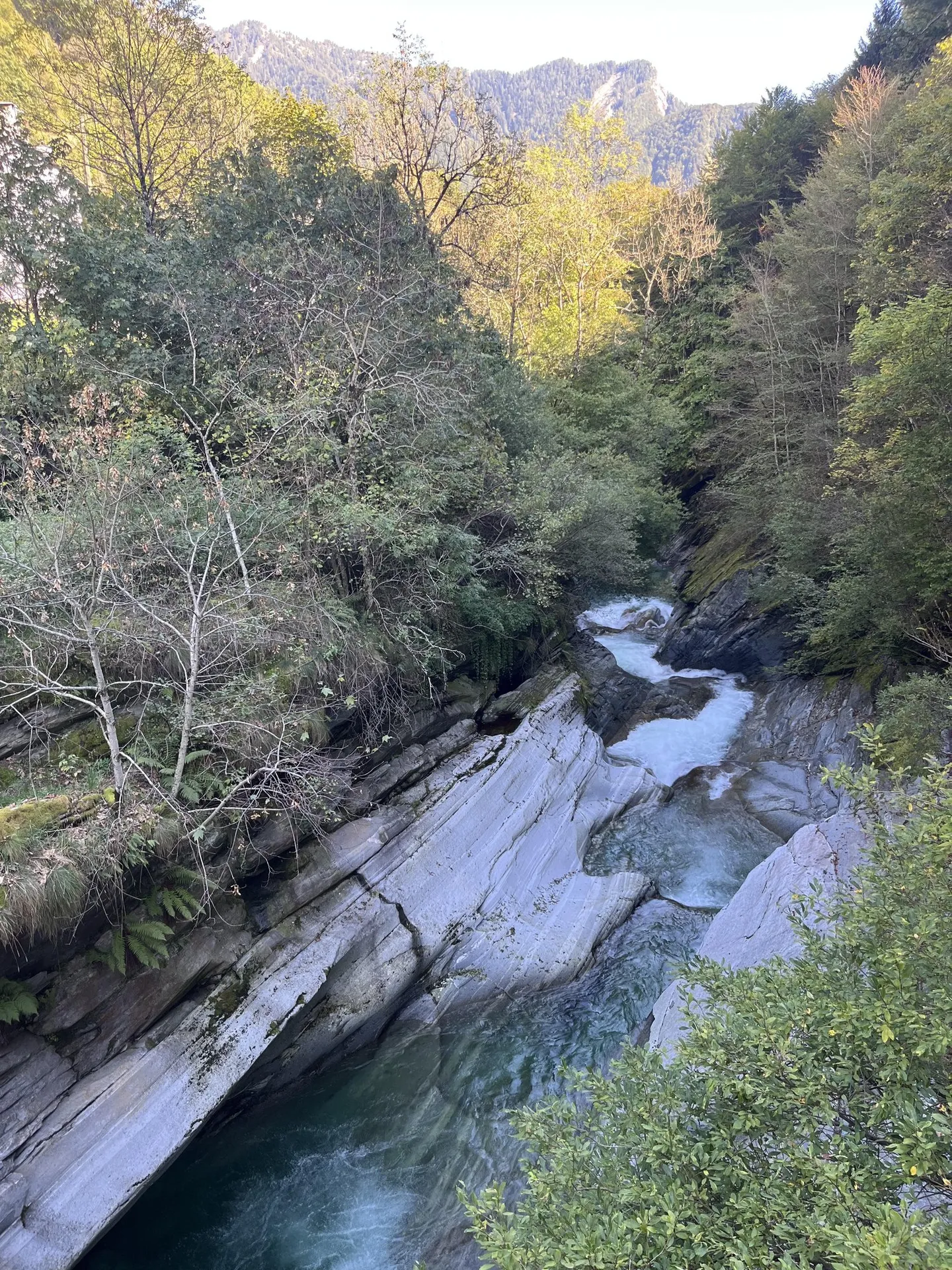 Maison d'hôtes "Casa Stefano" à Vergeletto TI - Photo 36 sur 38