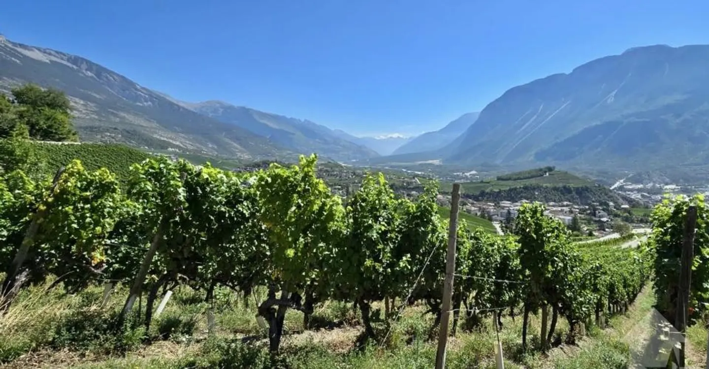 Terrassierte Villen mit Bergblick - Foto 4 von 10