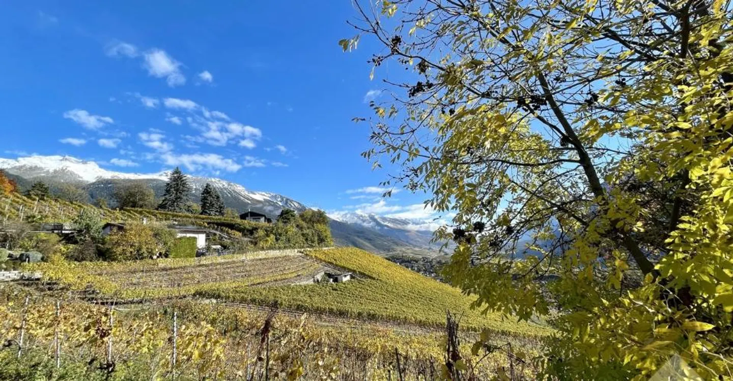 Terrassierte Villen mit Bergblick - Foto 6 von 10
