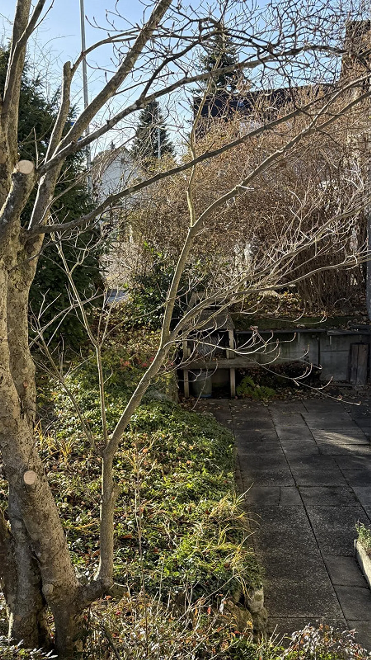 Erstvermietung nach Sanierung - Foto 11 von 12