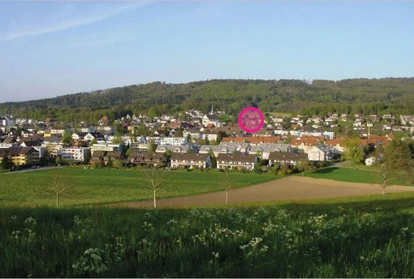 2-Family Generational House Approved Project with Land - Photo 2 of 3