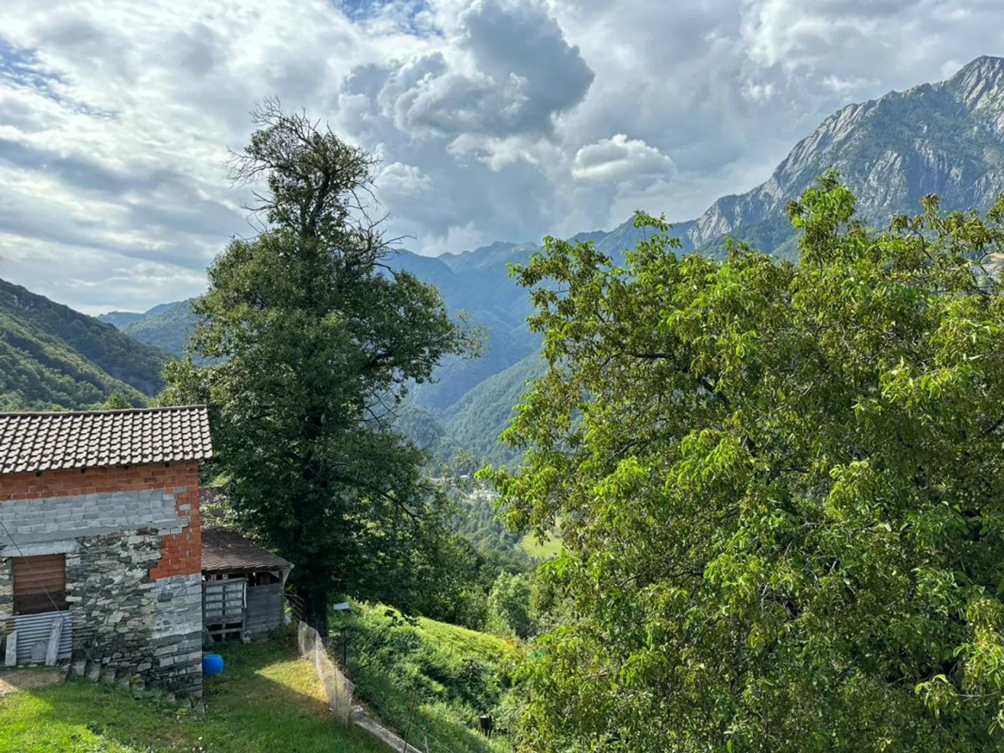 Casa di 6 1/2 locali in posizione molto tranquilla e soleggiata - Foto 13 di 17