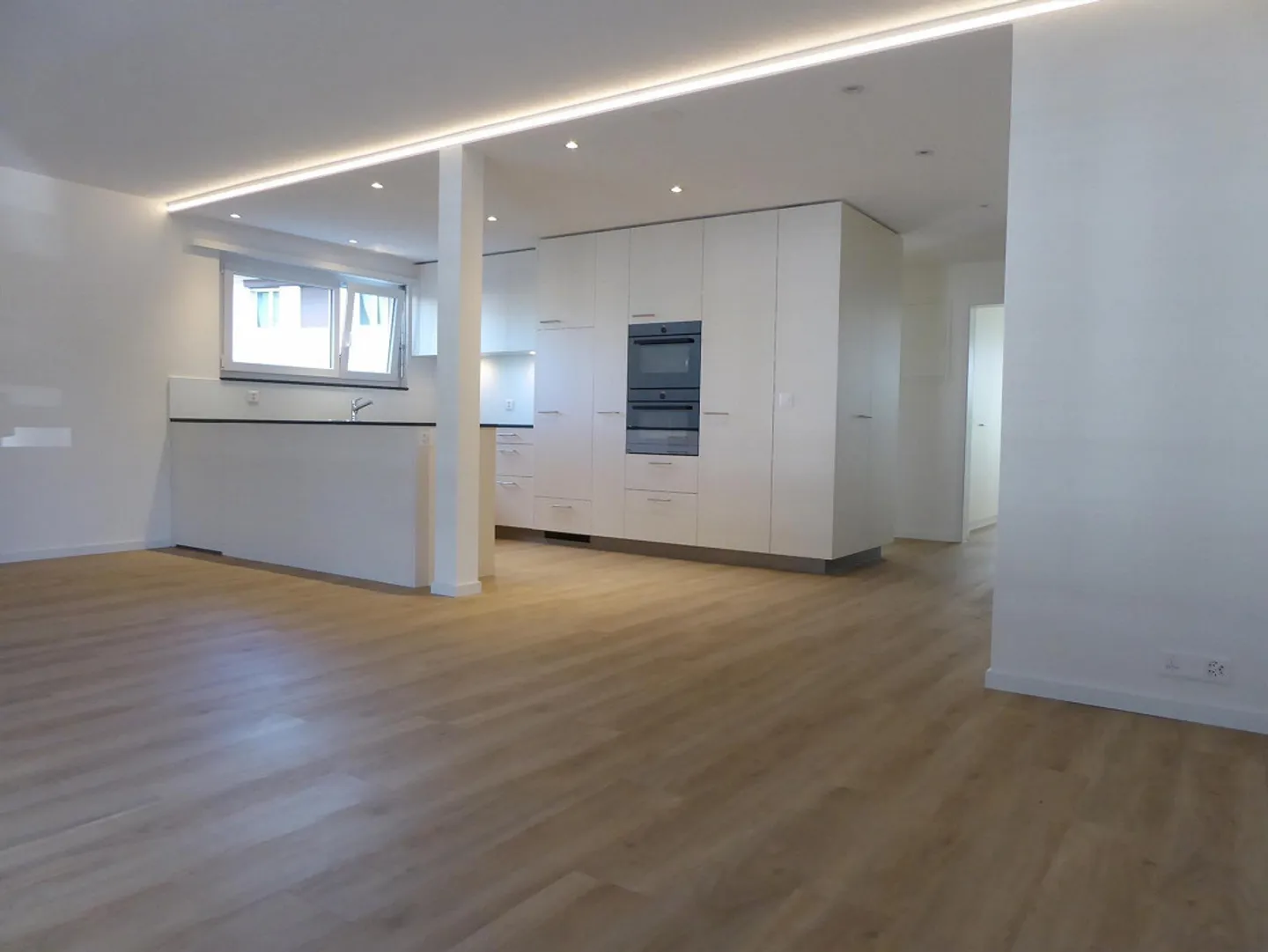 3 1/2 - Room Apartment in the Heart of Seewen - Photo 3 of 11