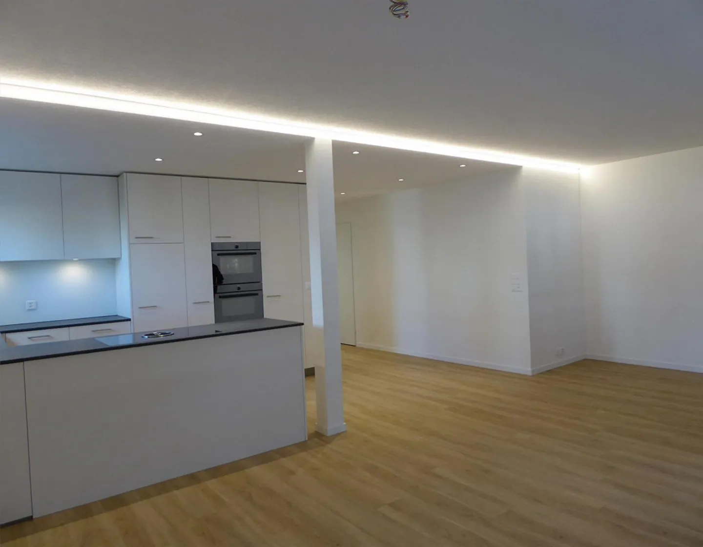 3 1/2 - Room Apartment in the Heart of Seewen - Photo 4 of 11