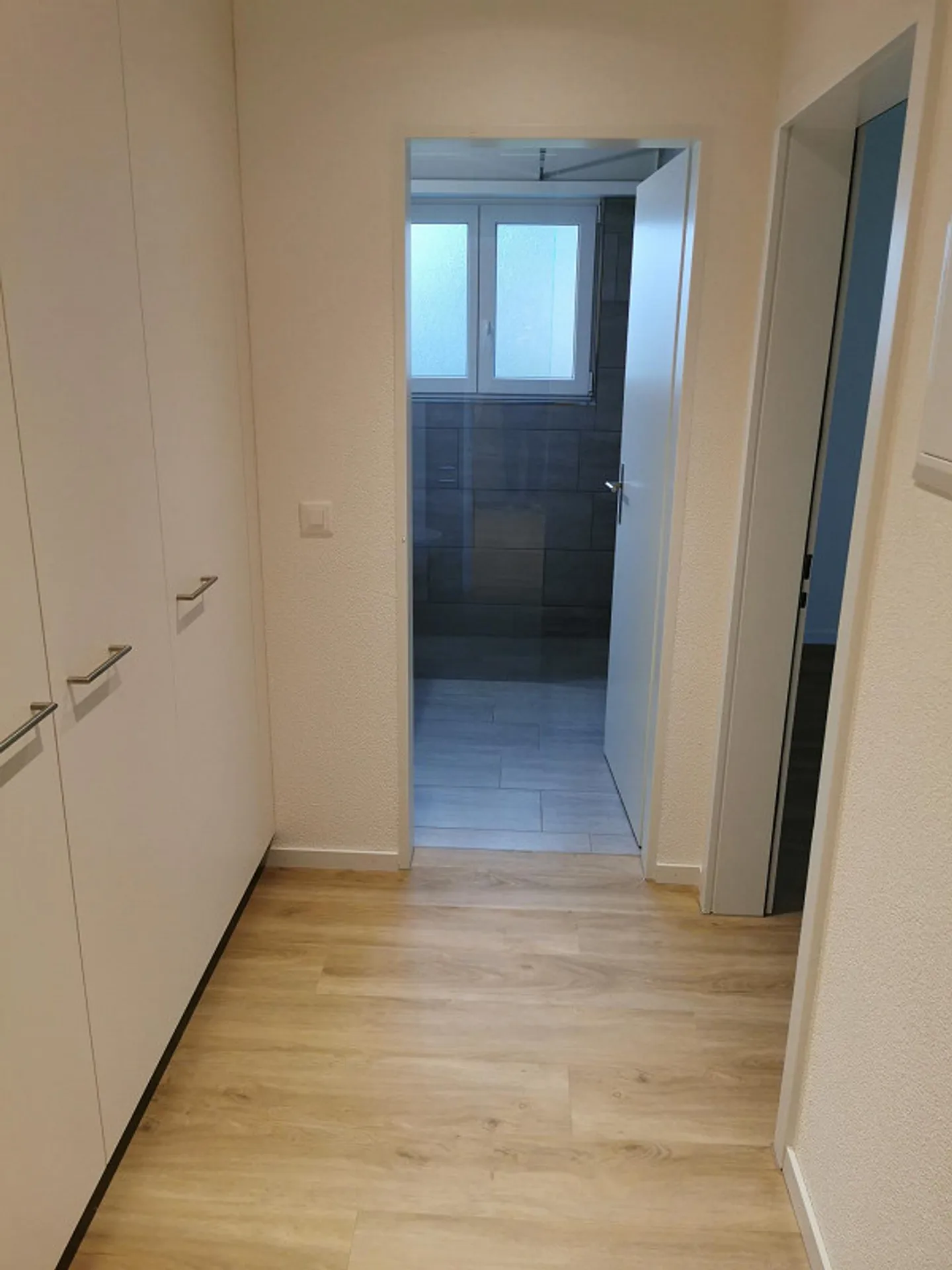 3 1/2 - Room Apartment in the Heart of Seewen - Photo 7 of 11