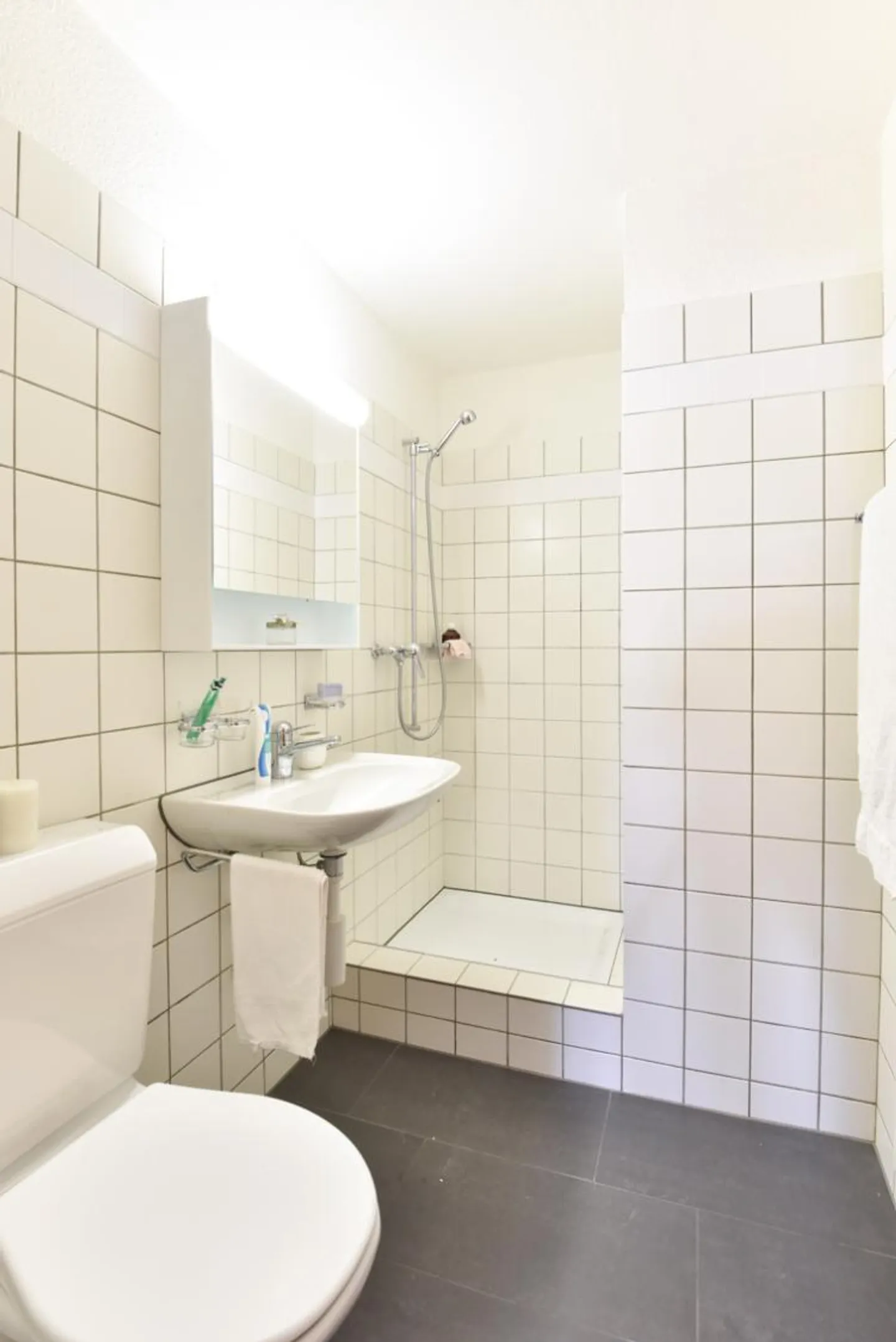Grosszügige Erdgeschosswohnung - Foto 7 von 7