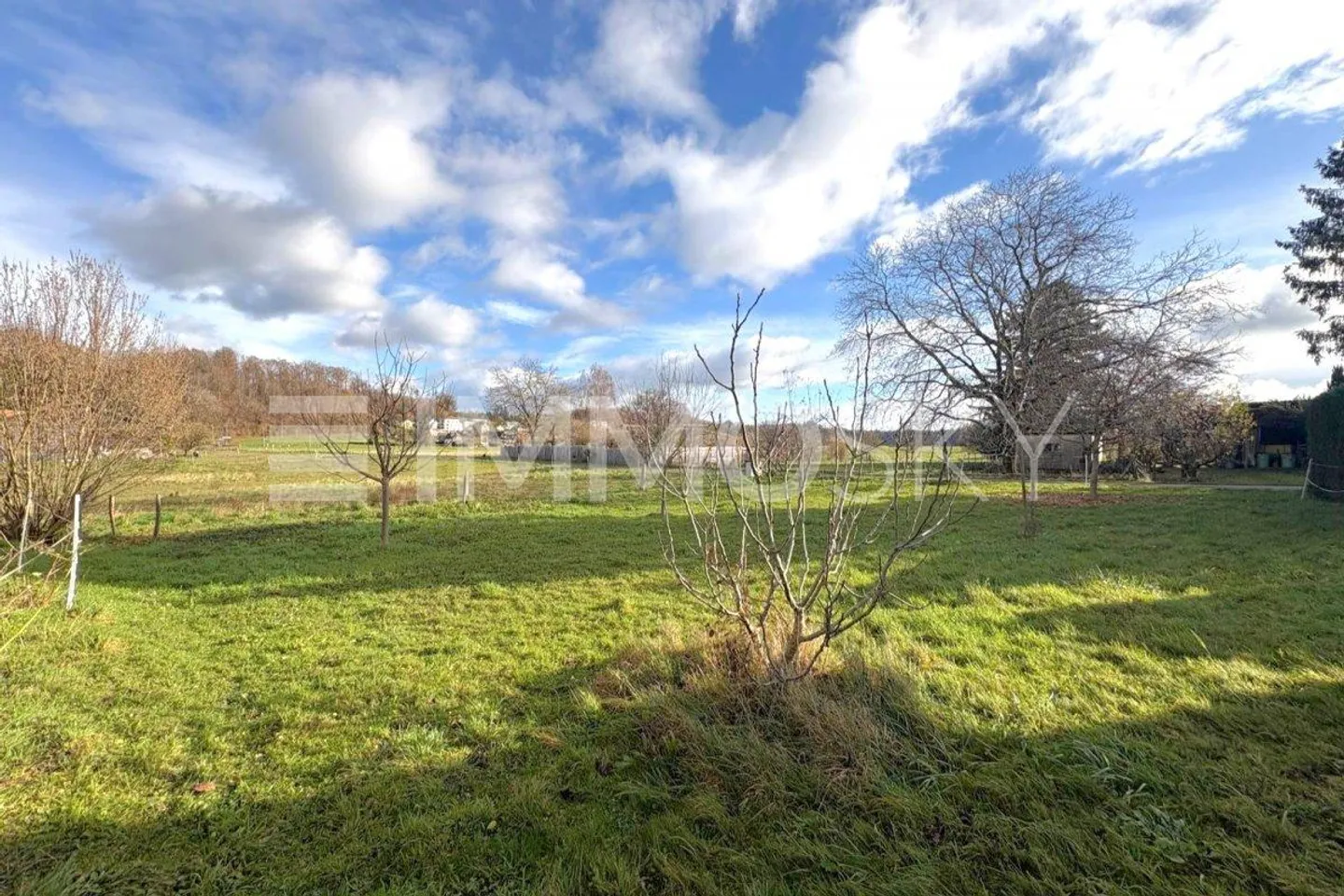 Three, Two, One, MINE! - Photo 2 of 5