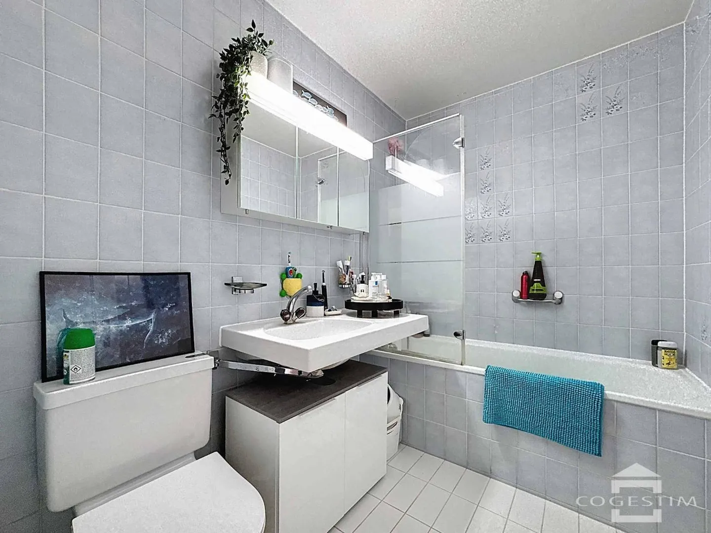 Appartement 3.5 pièces au bord du lac - Photo 10 sur 12