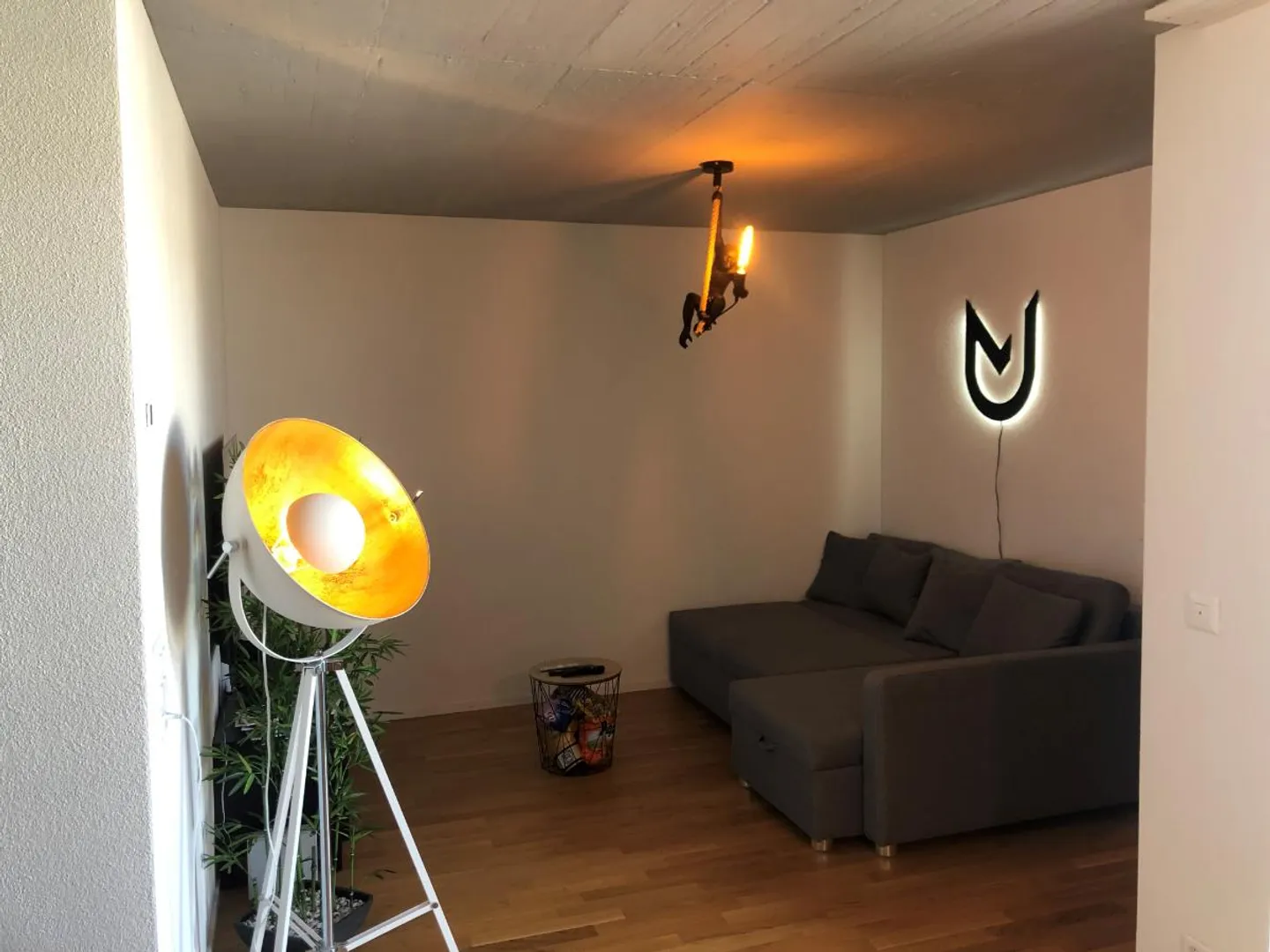 «2.5 Zimmer Attikawohnung» - Foto 2 von 5