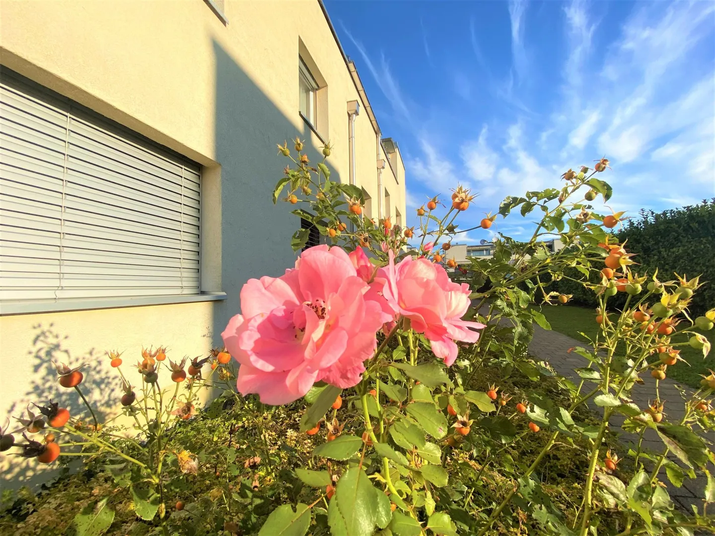 Goditi il sole su due terrazze: appartamento 2.5 stanze in mansarda - Foto 1 di 9