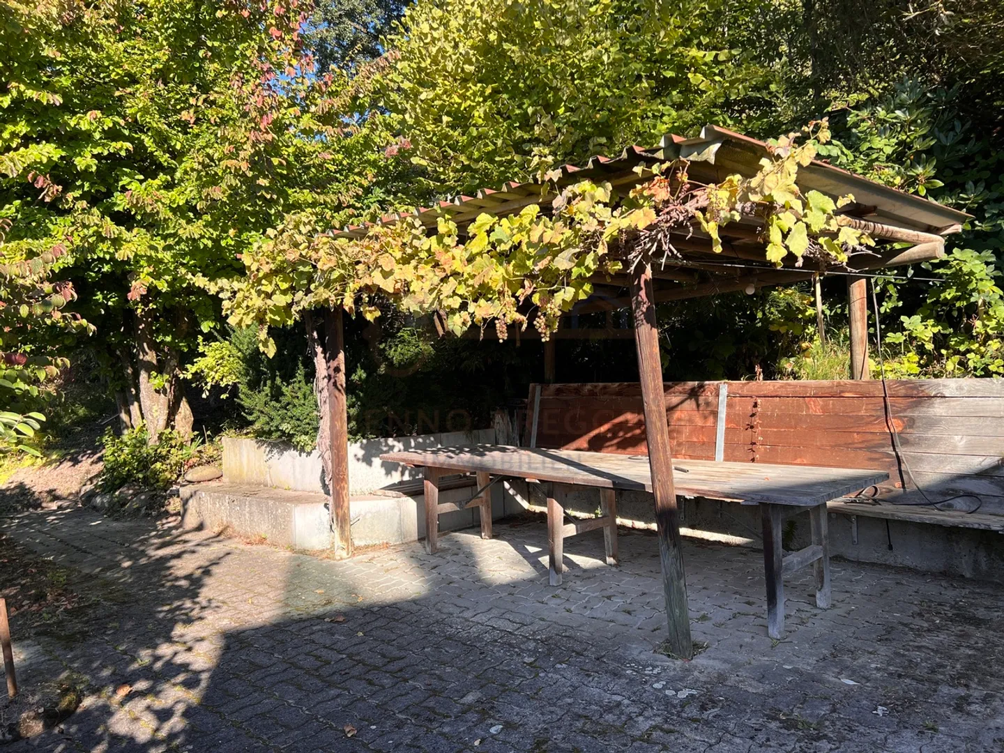 Einfamilienhaus mit Einliegerwohnung - familienfreundlich und zentral - Foto 2 von 12