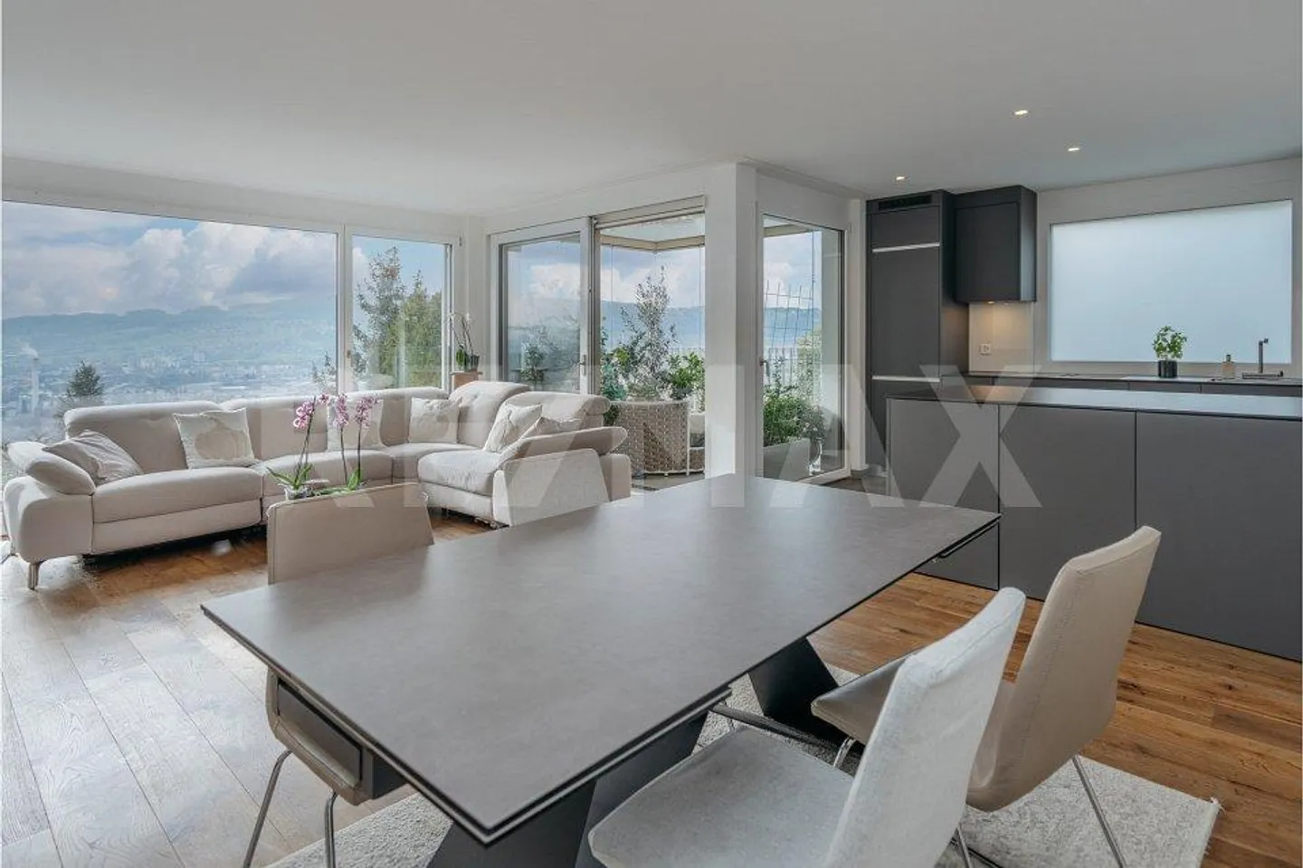 Vue panoramique: 3½ pièces, véranda, balcon et patio - Photo 5 sur 13