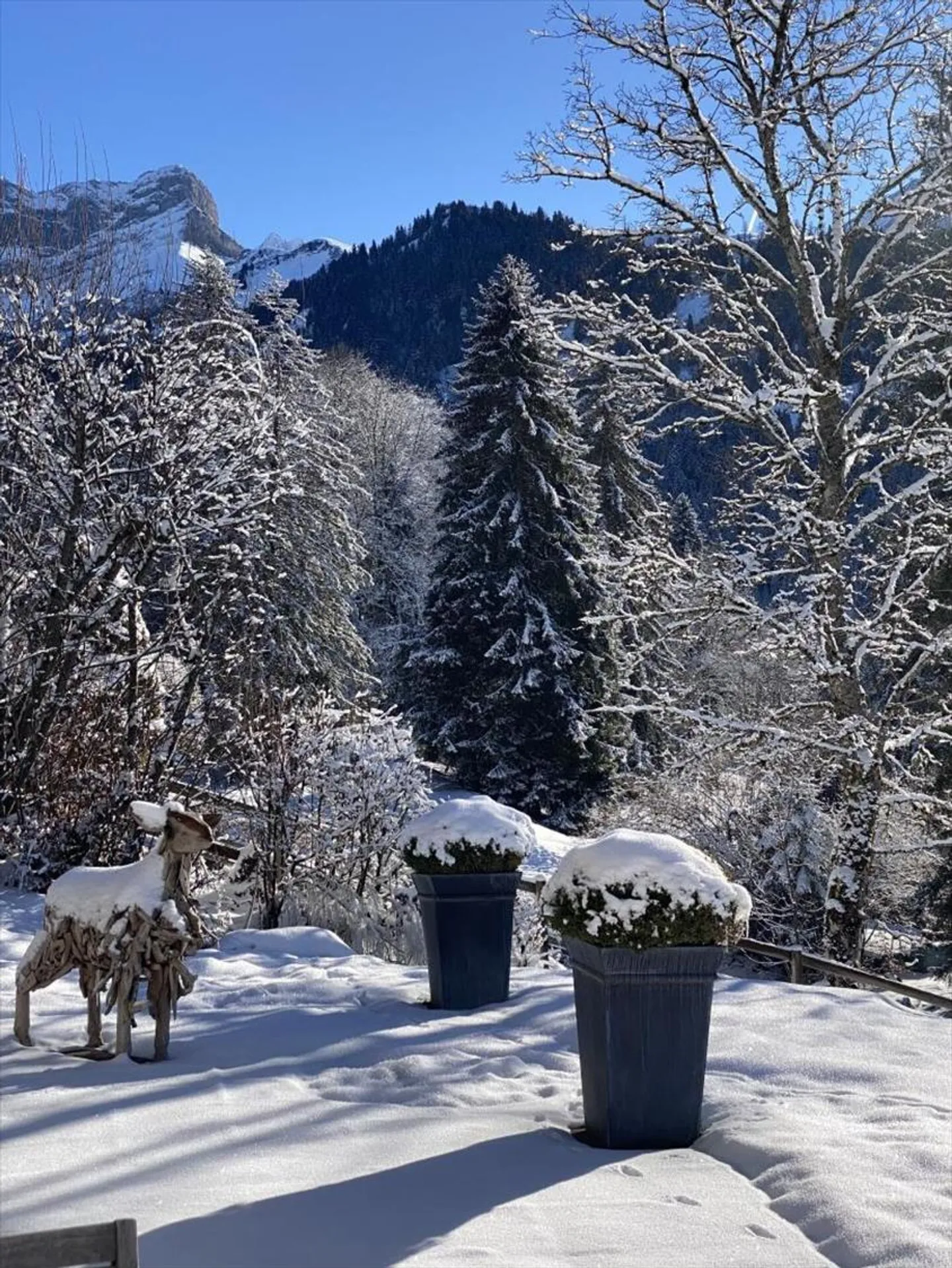 Chalet avec 7 chambres à Gryon - Photo 10 sur 13