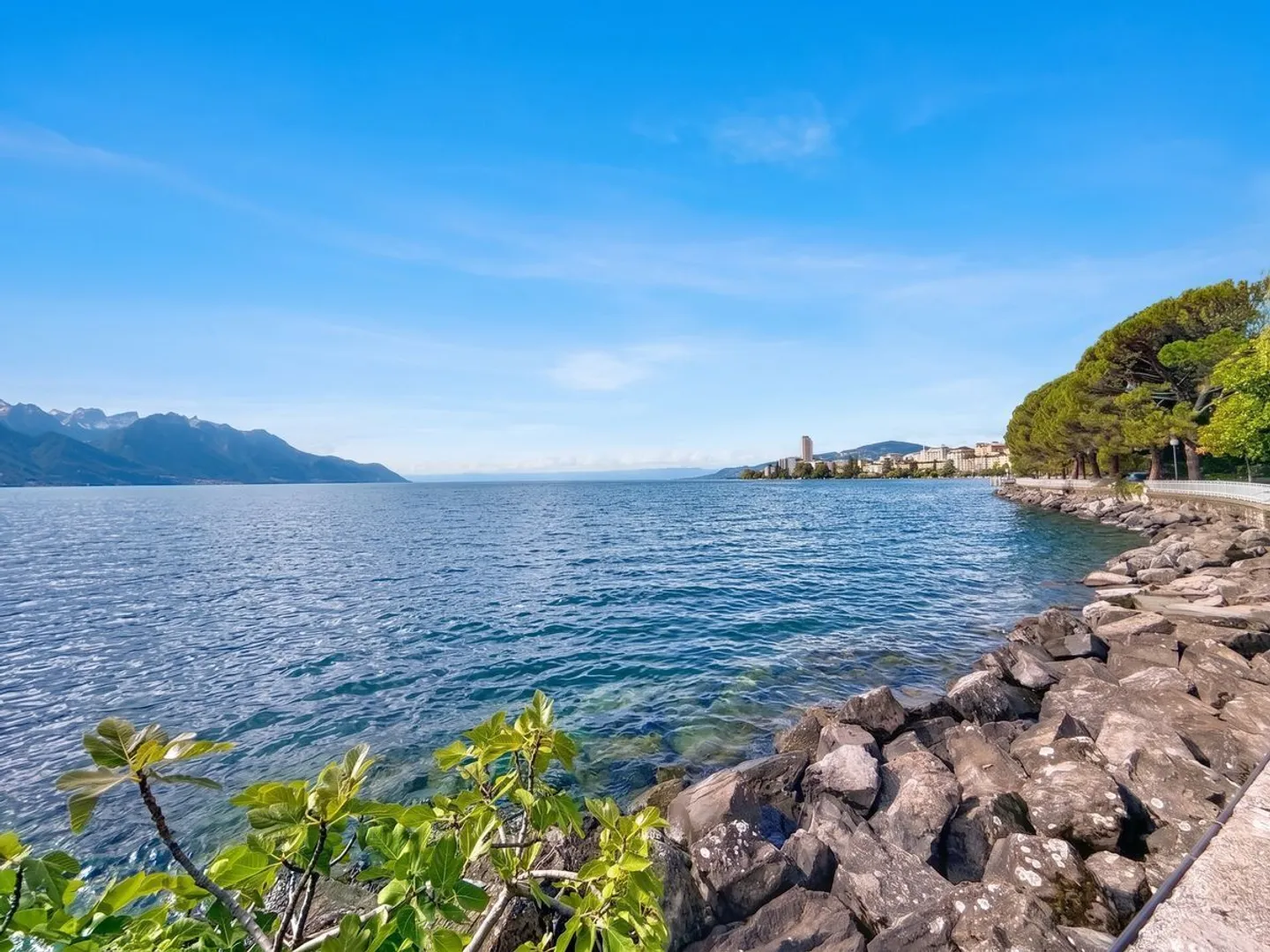 Modern Apartment by Lake Geneva - Photo 2 of 9