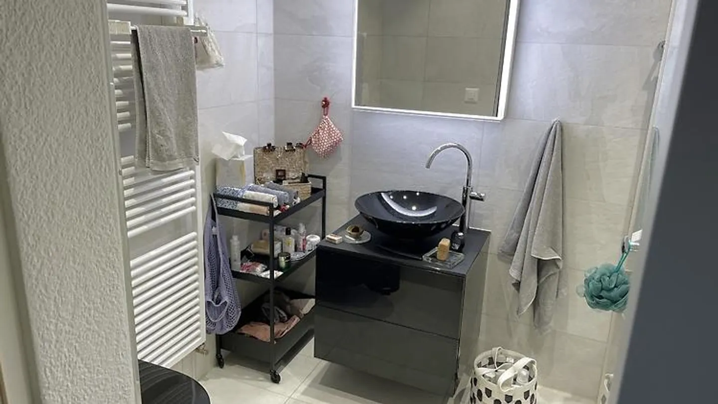 APPARTAMENTO 3½ STANZE A SOLOTHURN, ARREDATO, TEMPORANEO - Foto 7 di 8