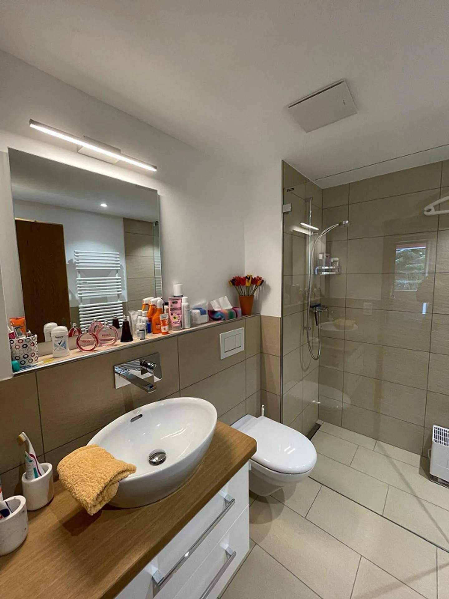 1.5 Room Apartment by Lake Heid - Photo 4 of 11