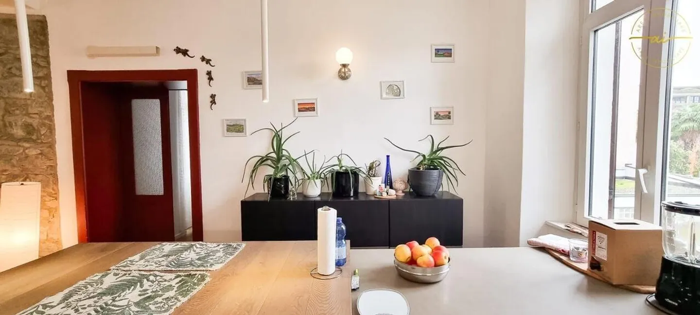 ACCOGLIENTE APPARTAMENTO 2.5 LOCALI CON TERRAZZA COPERTA - Foto 2 di 9