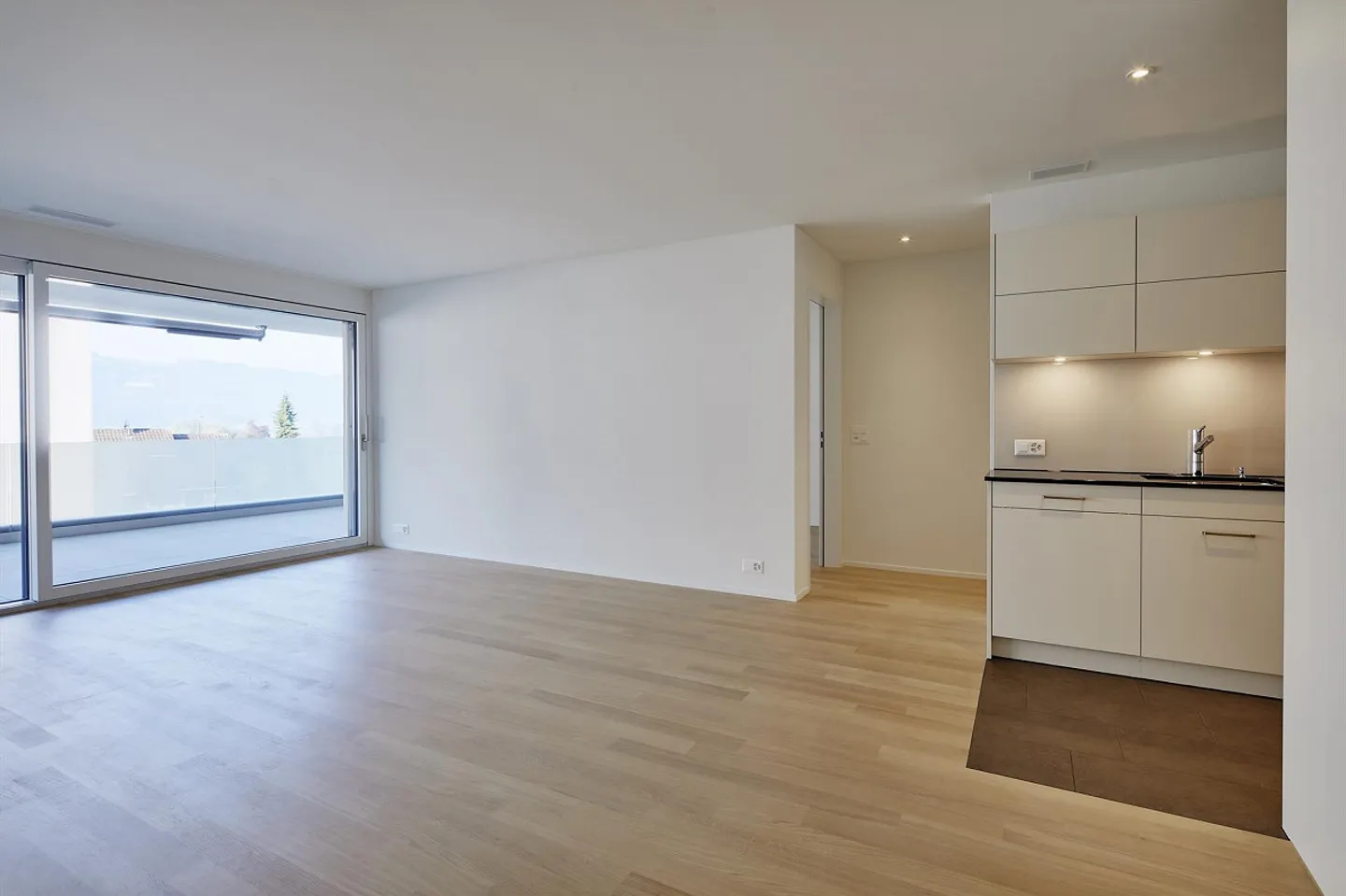 Living at the Dreamlike Baldeggersee - Photo 3 of 11