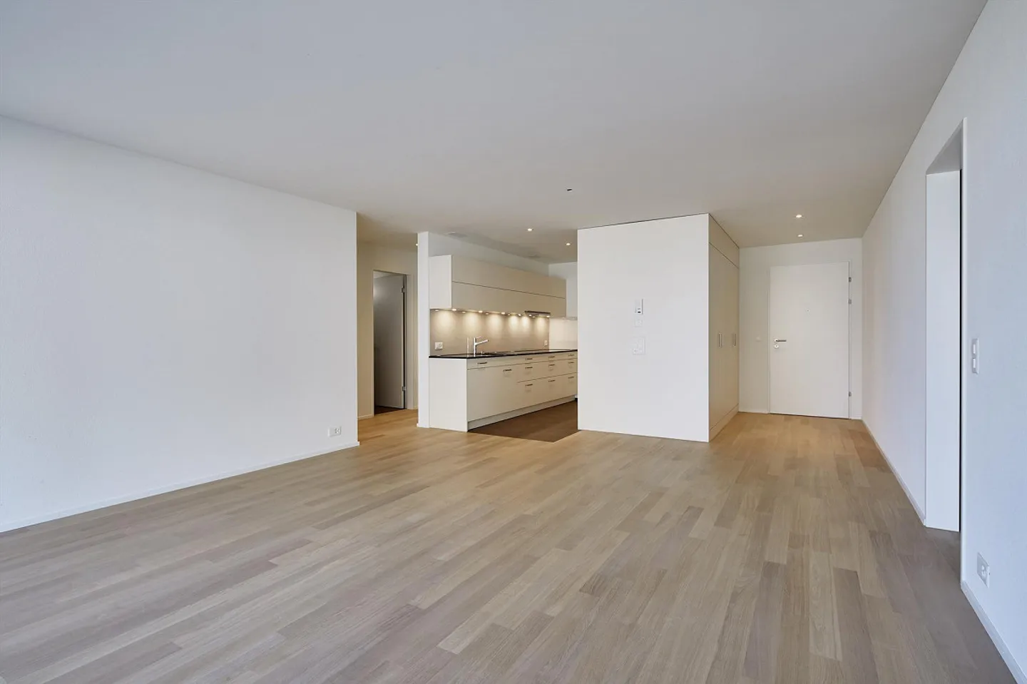 Living at the Dreamlike Baldeggersee - Photo 2 of 11