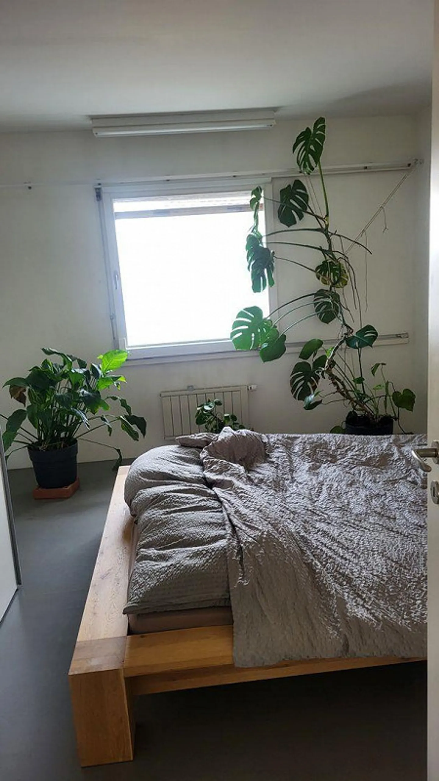 3.5-Zimmer-Wohnung - Foto 7 von 8