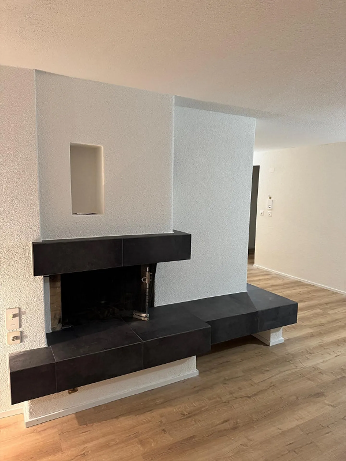 4.5 Room Apartment with Lake View - Photo 6 of 7