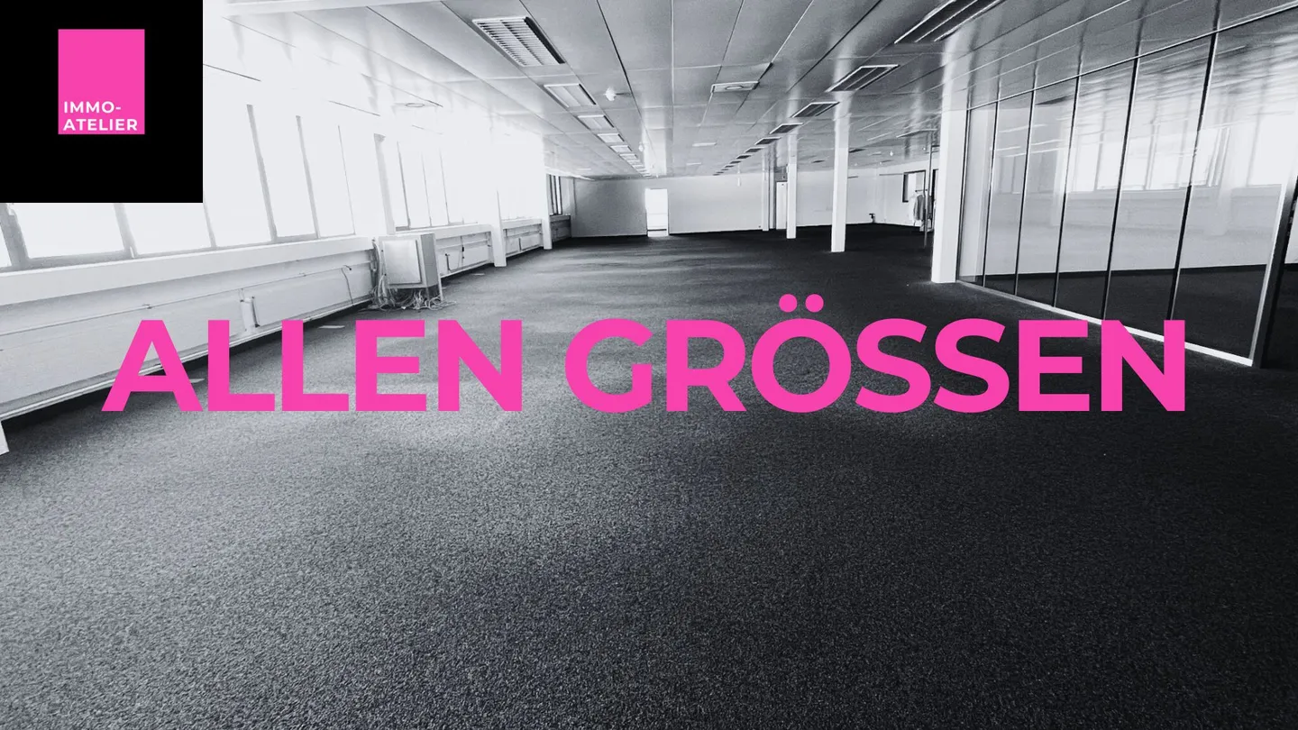 Negozio in affitto - Foto 3 di 13