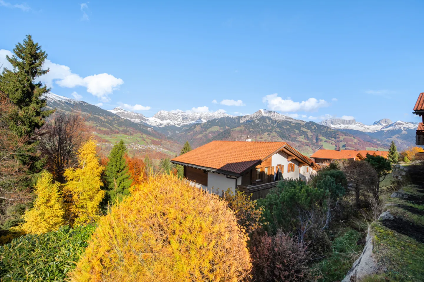 Le son du silence - Photo 5 sur 10