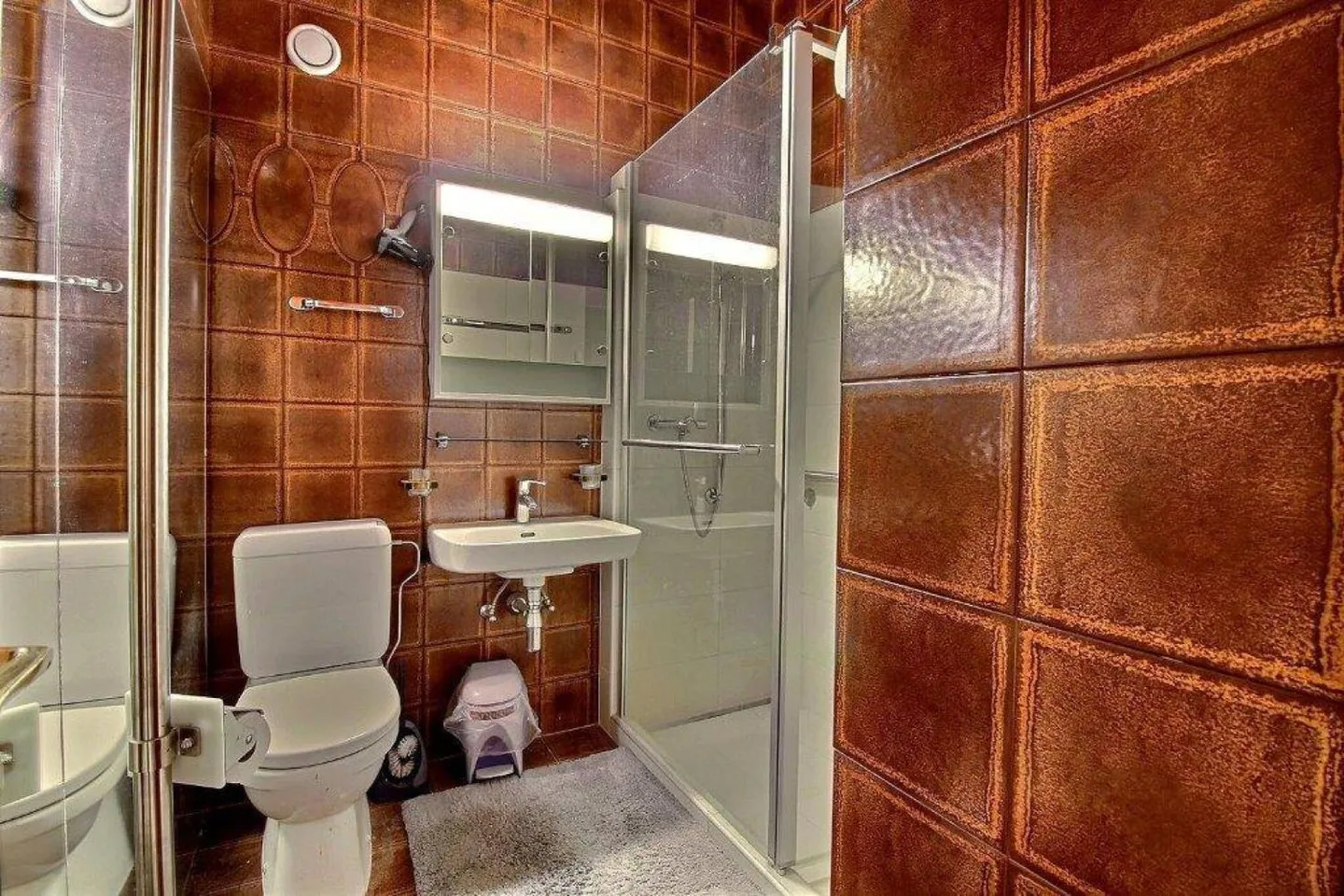 Appartement Charmant avec Vue Alpine - Photo 7 sur 13