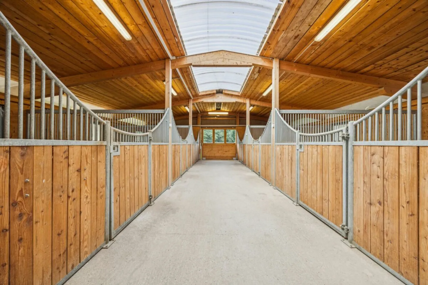 KOMPAKTE REITSPORTIMMOBILIE MIT WOHNHAUS, PFERDESTALL UND REITHALLE IN BASADINGEN TG - Foto 2 von 10