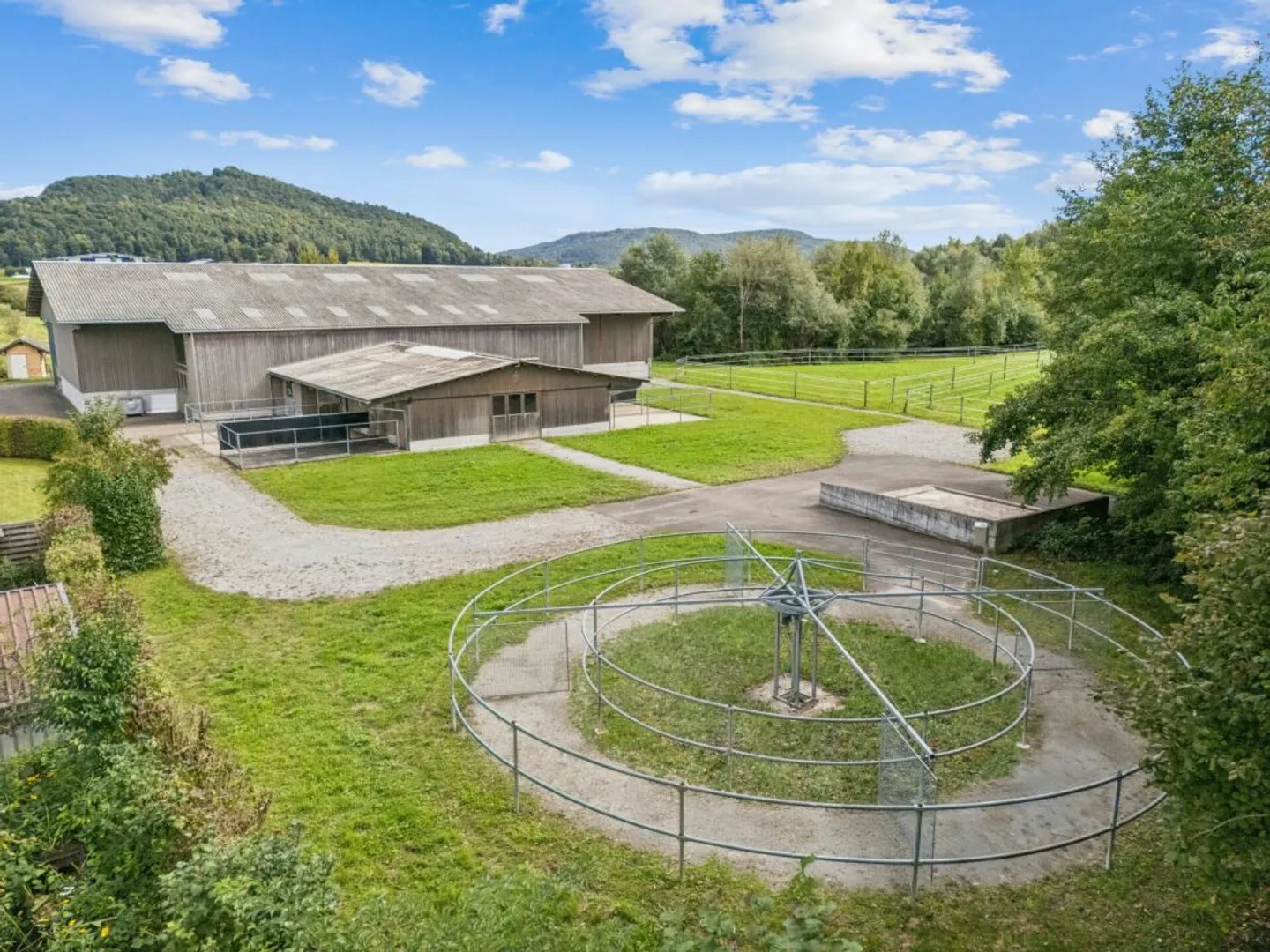 KOMPAKTE REITSPORTIMMOBILIE MIT WOHNHAUS, PFERDESTALL UND REITHALLE IN BASADINGEN TG - Foto 4 von 10