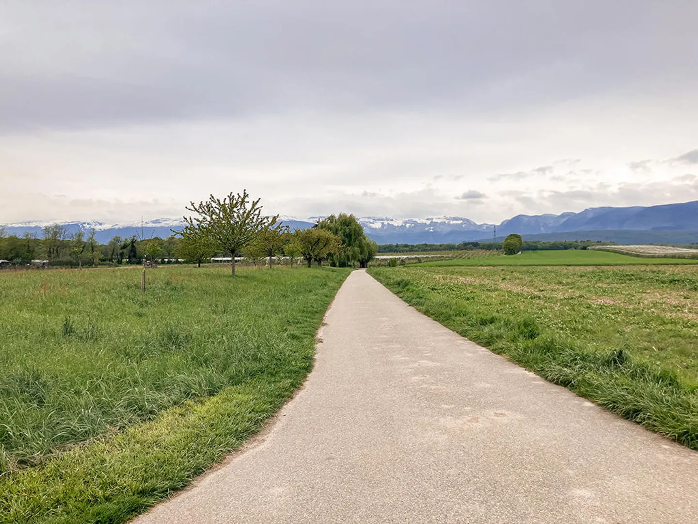 Maison jumelée 4.5 pièces - Photo 1 sur 3