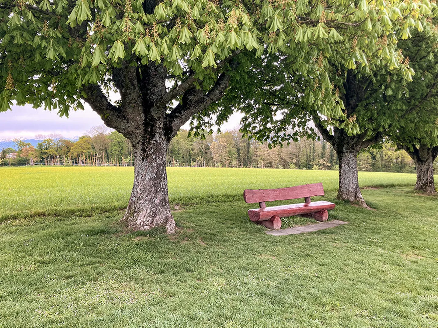 Maison jumelée 4.5 pièces - Photo 3 sur 3