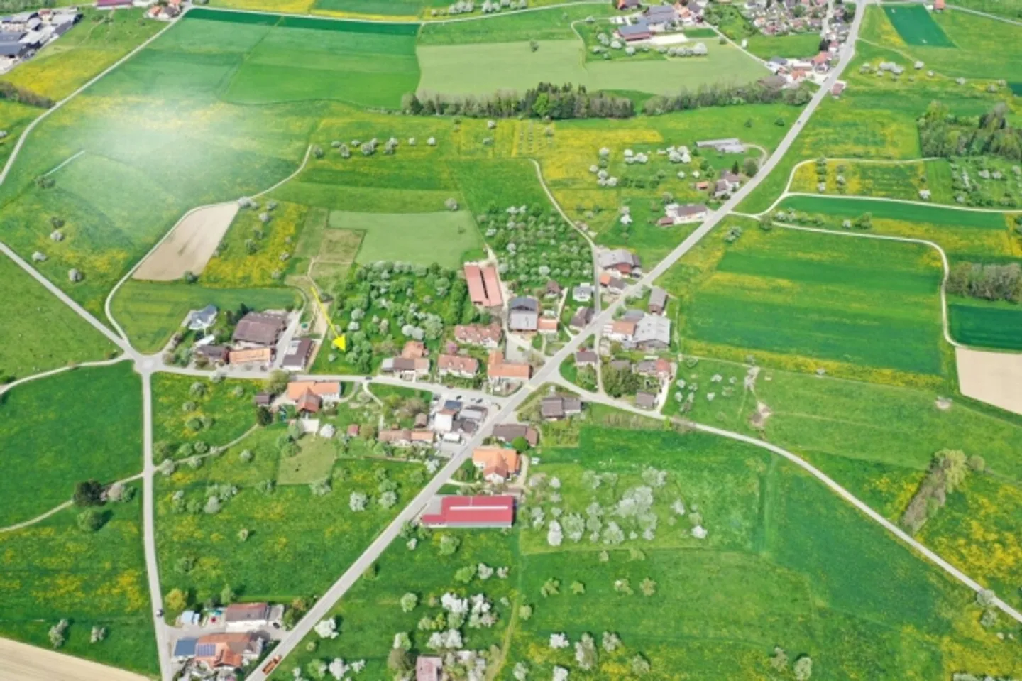 Appartamento in affitto - Foto 7 di 7