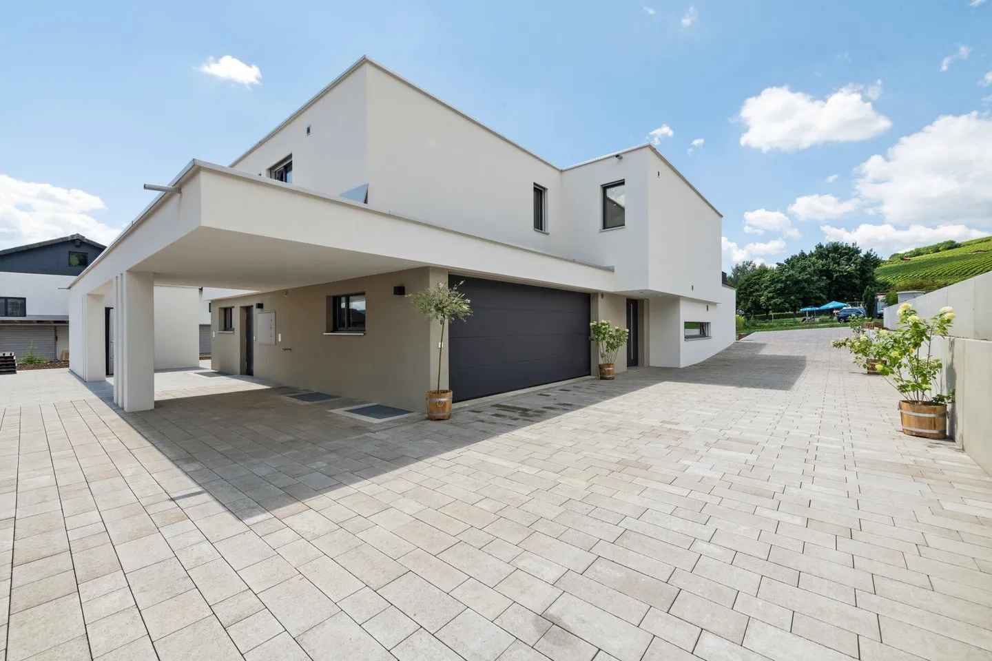 Maison individuelle avec appartement séparé Vitis Vinifera - Photo 11 sur 12