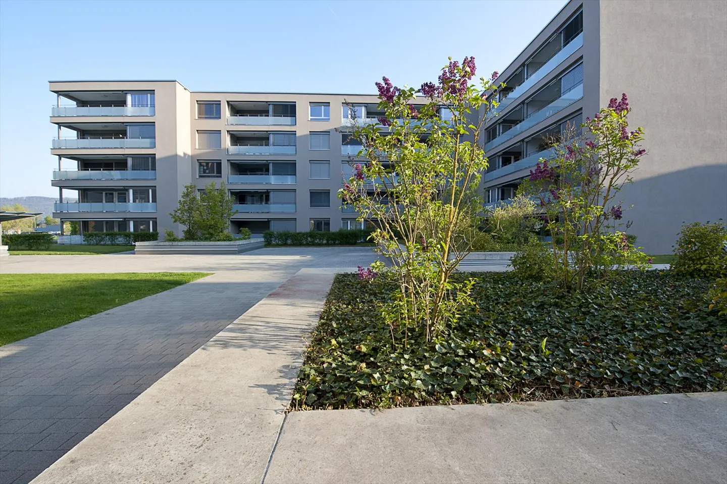 2,5-Zimmer-Wohnung - Foto 1 von 5