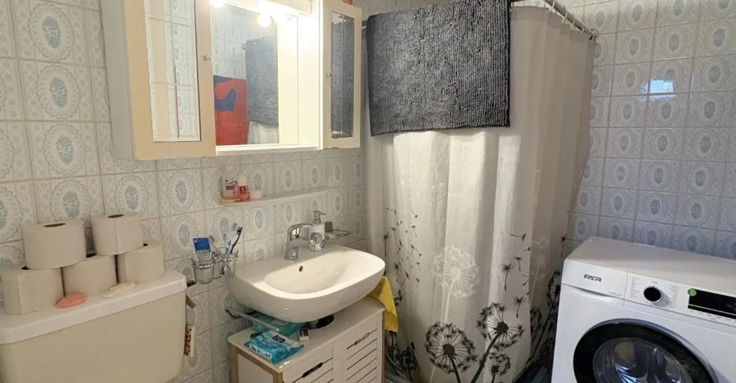 Appartamento 2.5 camere affascinante - Foto 6 di 6