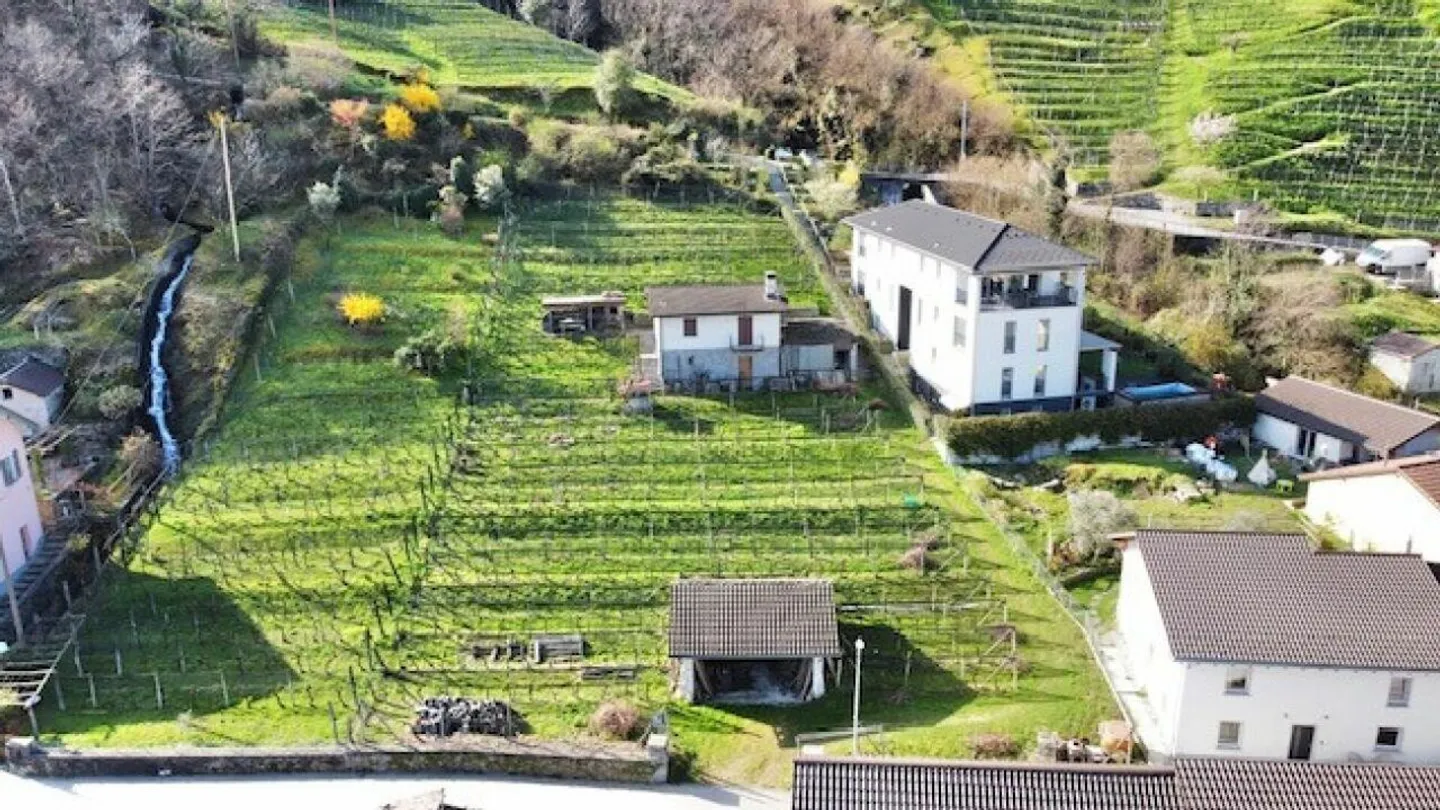 Geräumiges Baugrundstück in Contone - Foto 2 von 11