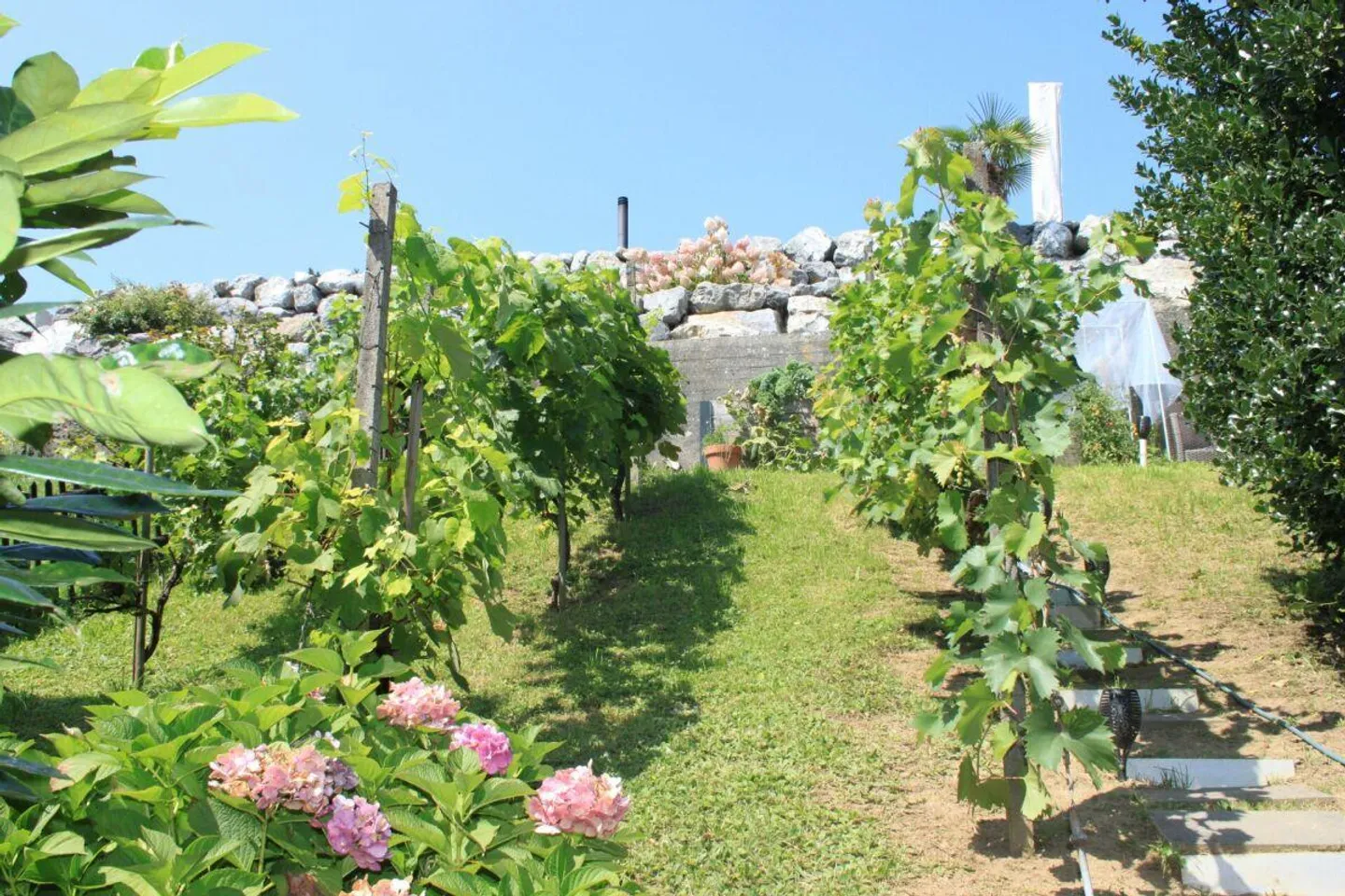 Casa indipendente con una vista unica - Foto 22 di 26